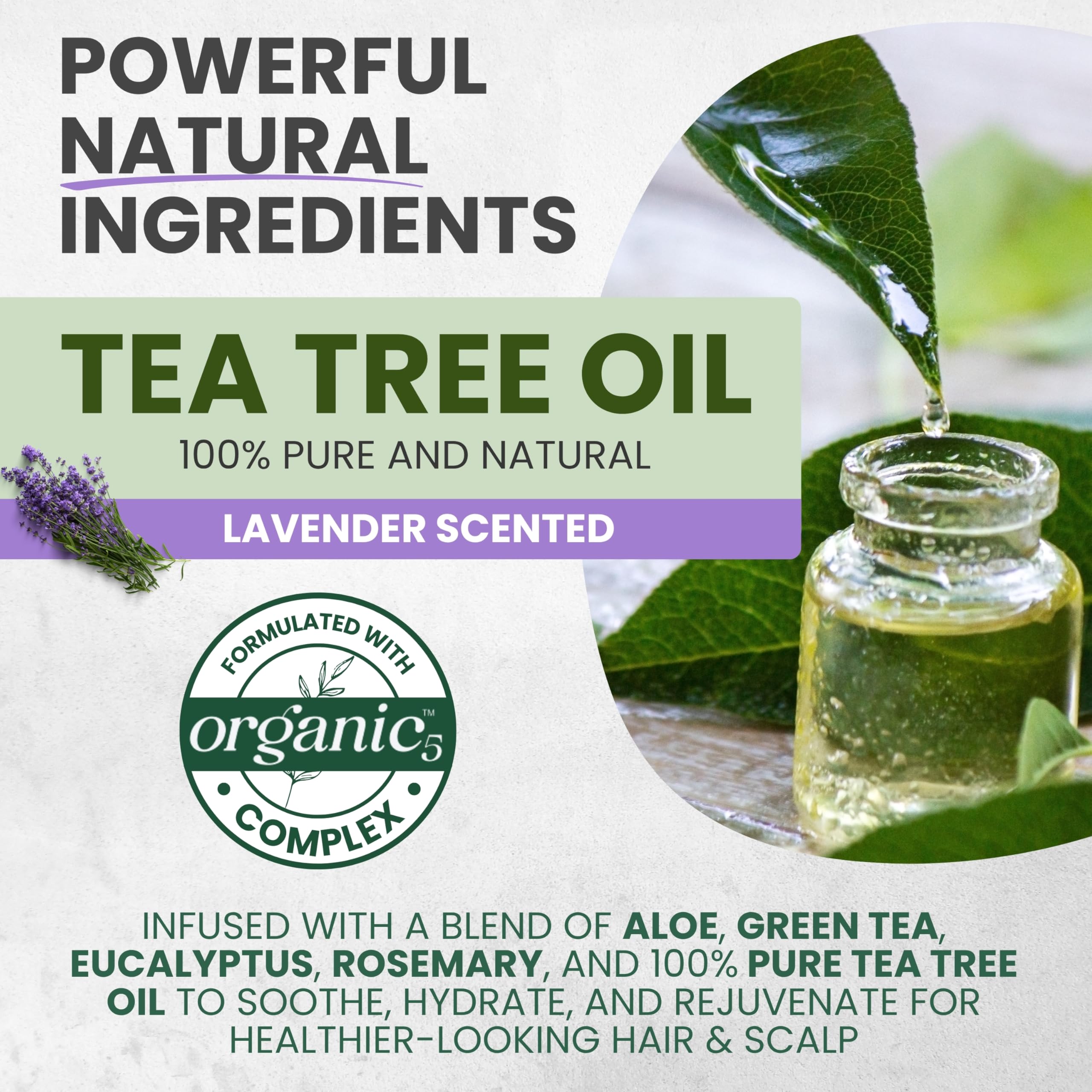 KESMEDIK Tea Tree Lavender Shampoo with Mint & Rosemary – Deep Cleanse, Soothes Dry Scalp, Sulfate & Paraben Free