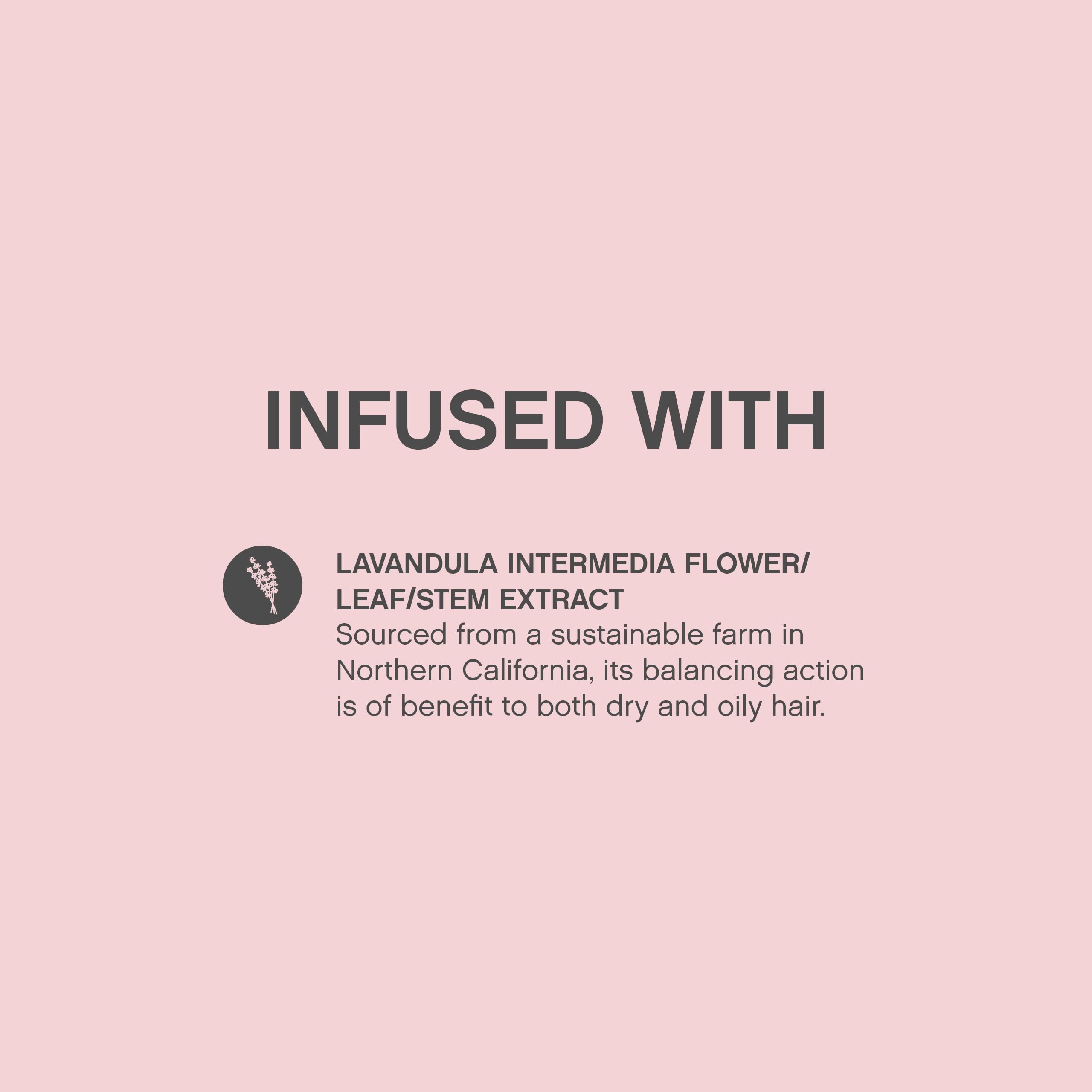 KEVIN.MURPHY ANTI.GRAVITY – Volumising & Texturising Lotion for All Hair Types (Pack of 2)