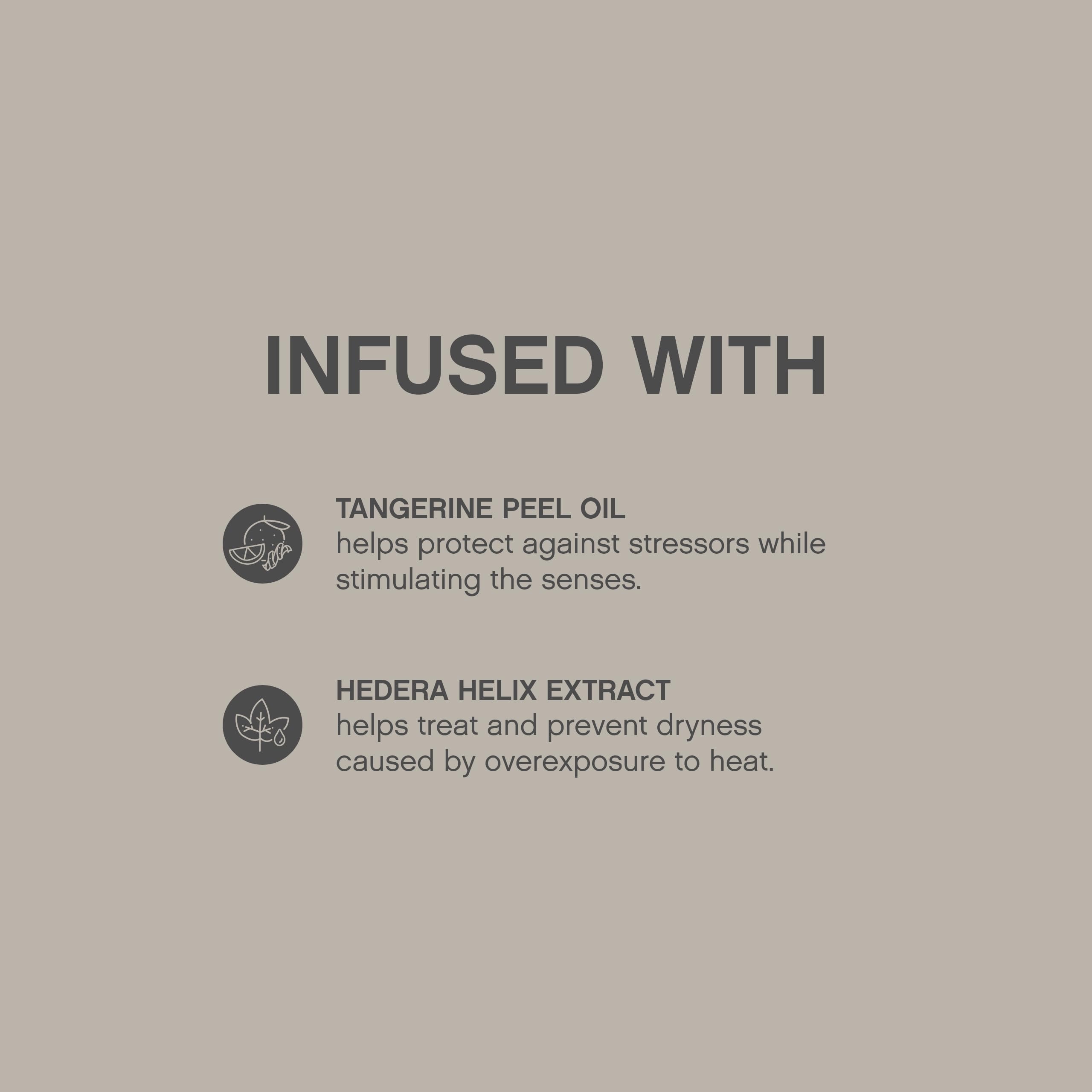 KEVIN.MURPHY SESSION.SPRAY - Strong Hold Finishing Hair Spray (100 mL x 2) | Humidity Resistant