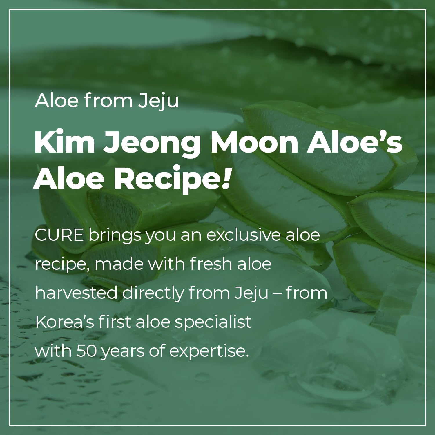 Kim Jeong Moon Aloe CURE Foam Cleanser — Hydrating Korean Face Wash for Sensitive Skin, 3.38 fl oz