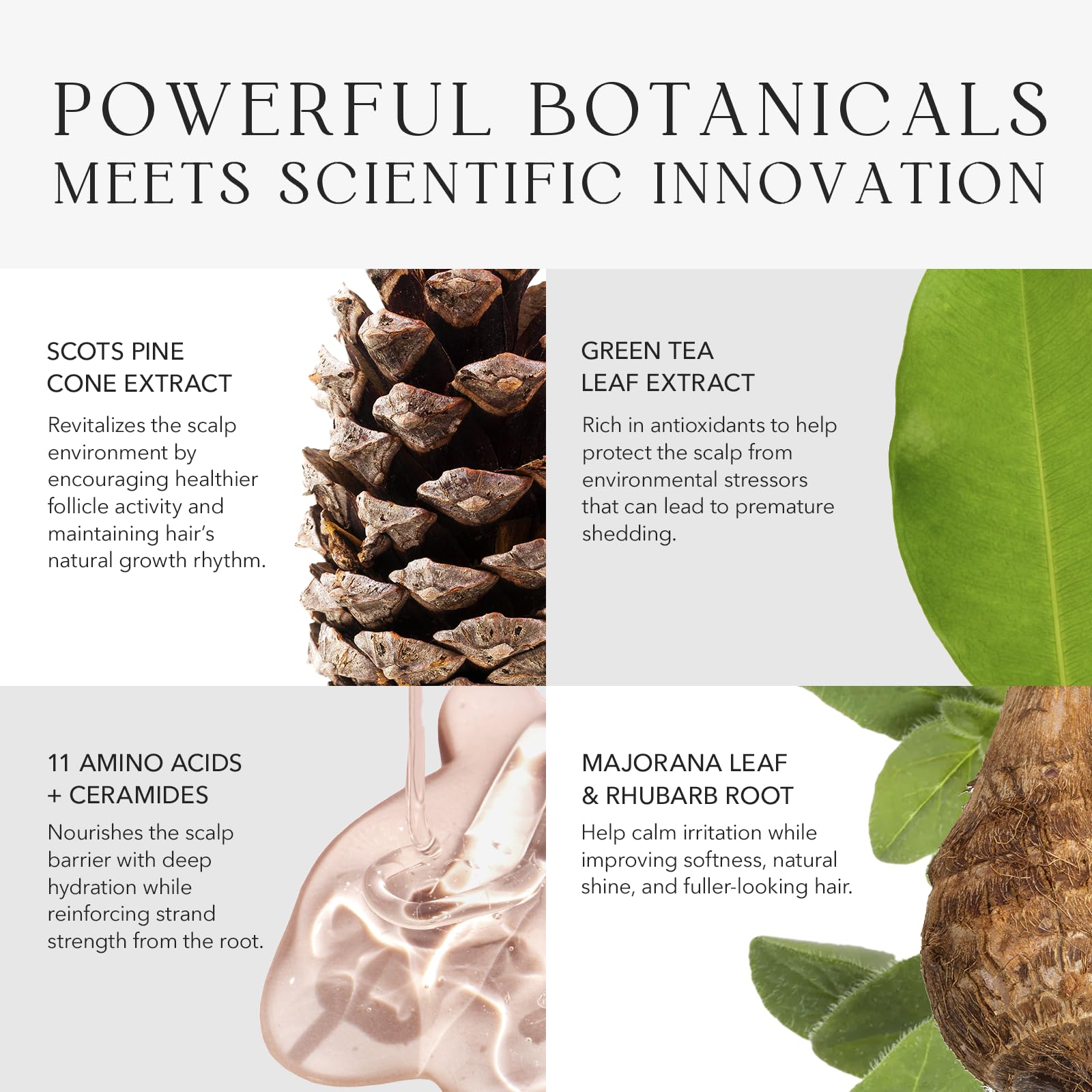 KIWABI Root Beaute Regrowth Serum – Lightweight, Fragrance-Free (2.1 oz)
