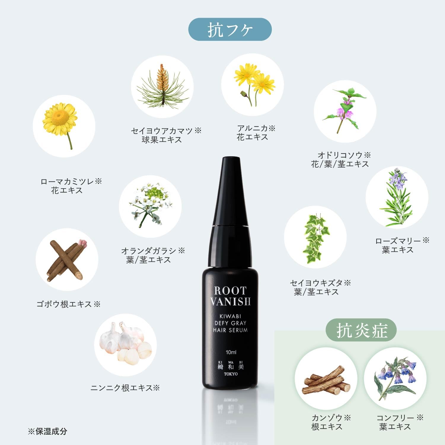 KIWABI Root Vanish Anti Gray Hair Serum – Lightweight Daily Scalp Serum for Pigment Support (30ml)