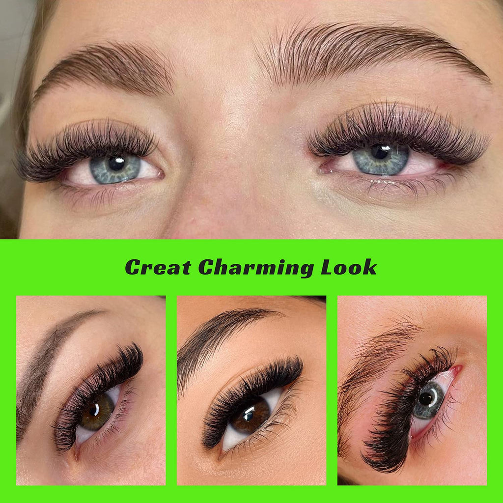 Kolybel 500 Premade Lash Fans 10D 8-15mm | Mixed Length D/C Curl