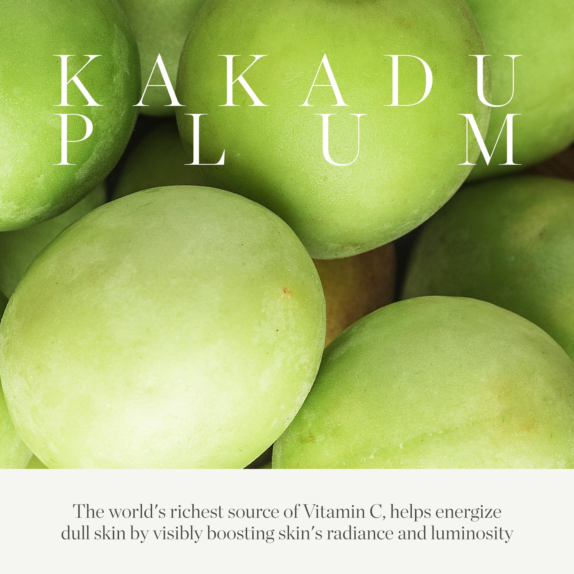 KORA Organics Kakadu Plum Vitamin C Eye Cream Refill — Hydration & Radiance