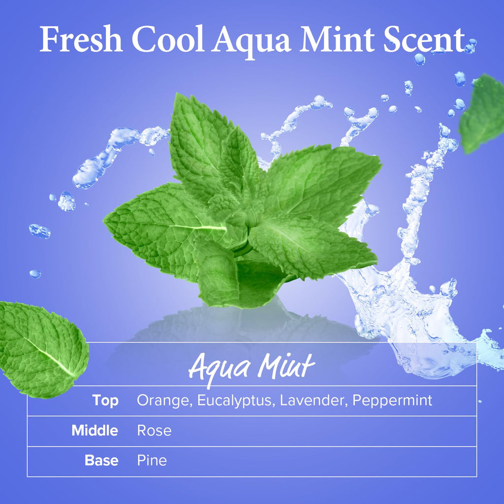 KUNDAL Aqua Mint Shampoo – Hair & Scalp Care with Eucalyptus, Tea Tree & Argan Oil (Pack of 2)