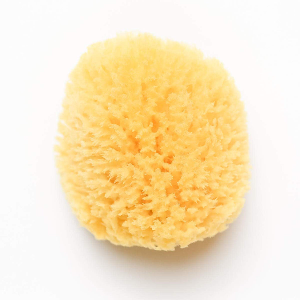 Kyte Baby Natural Sea Sponge 4-5 Inches – Hypoallergenic & Absorbent