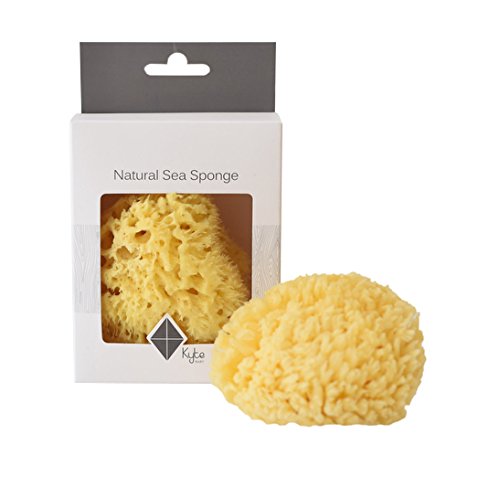 Kyte Baby Natural Sea Sponge 4-5 Inches – Hypoallergenic & Absorbent