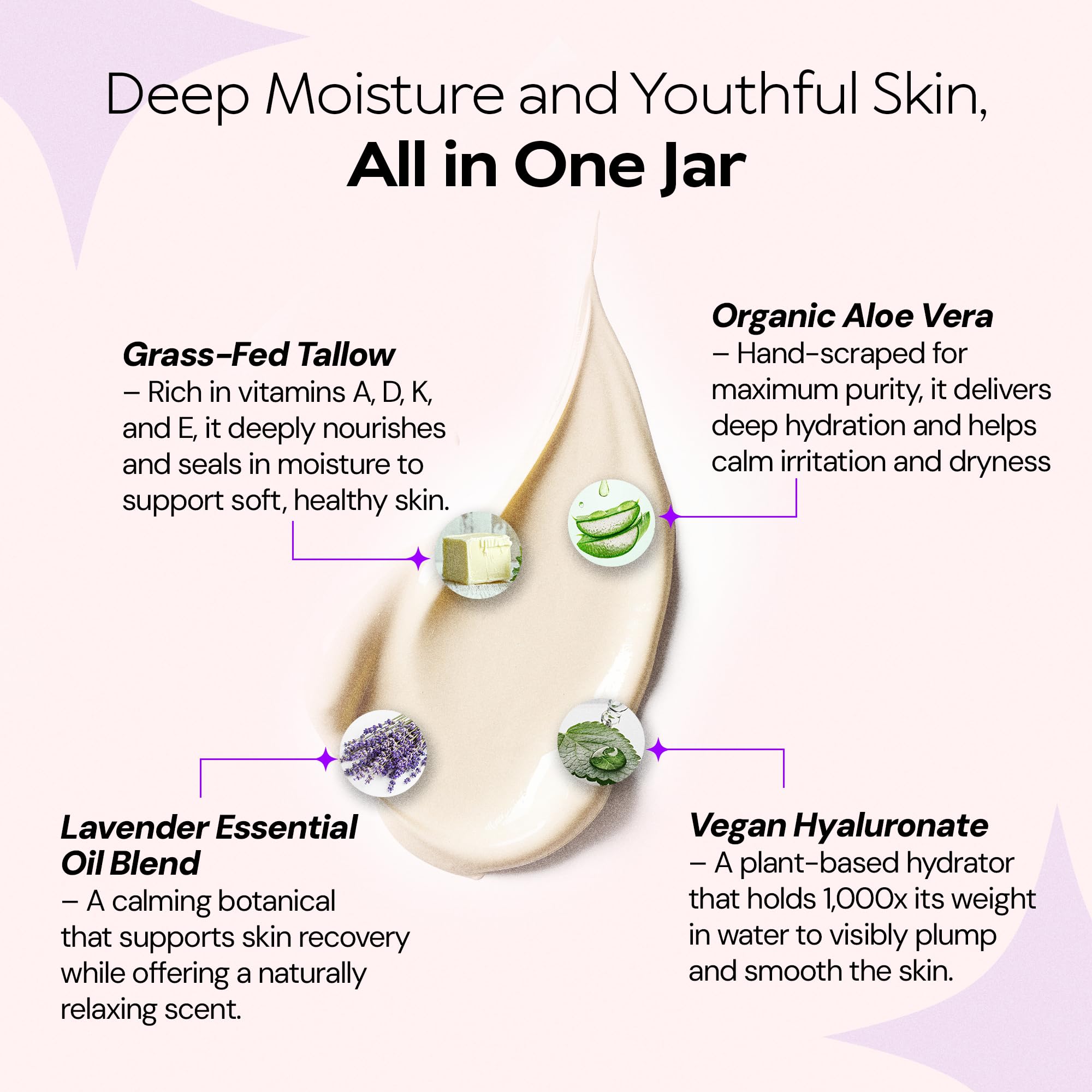LA PURE Beef Tallow Face Cream – Grass-Fed Tallow, Organic Aloe Vera, Vegan Hyaluronate, Lavender, 2oz