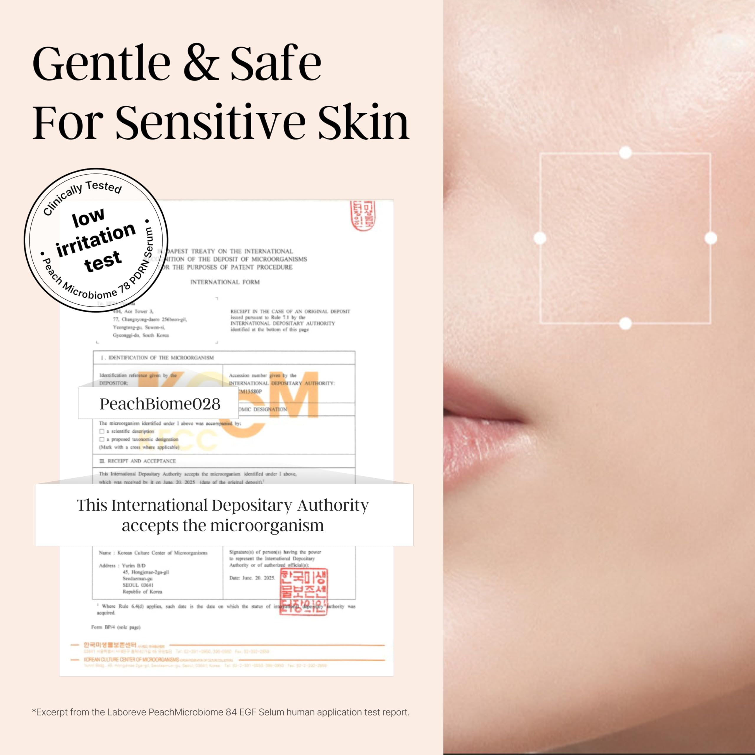 Laboreve PeachMicrobiome 84 EGF Serum | Probiotic Skincare for Hydration, Elasticity & Radiance | Korean Microbiome Science