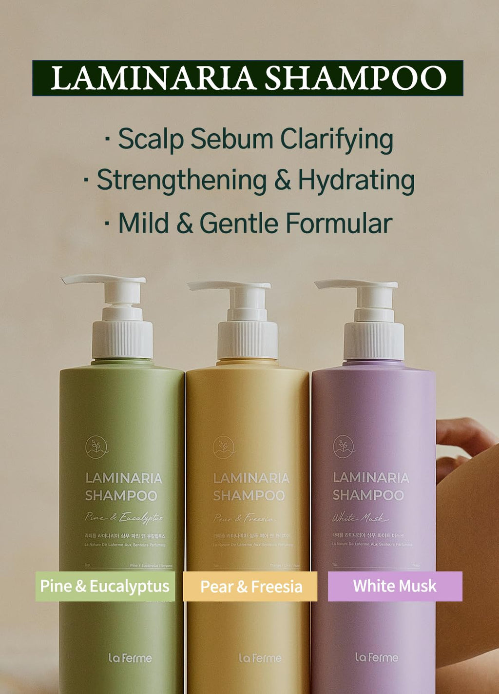 Laferme Laminaria Shampoo with Organic Ingredients – Korean Clarifying, Hydrating & Strengthening, Sulfate & Paraben-Free, 16.9 oz, Pine Eucalyptus