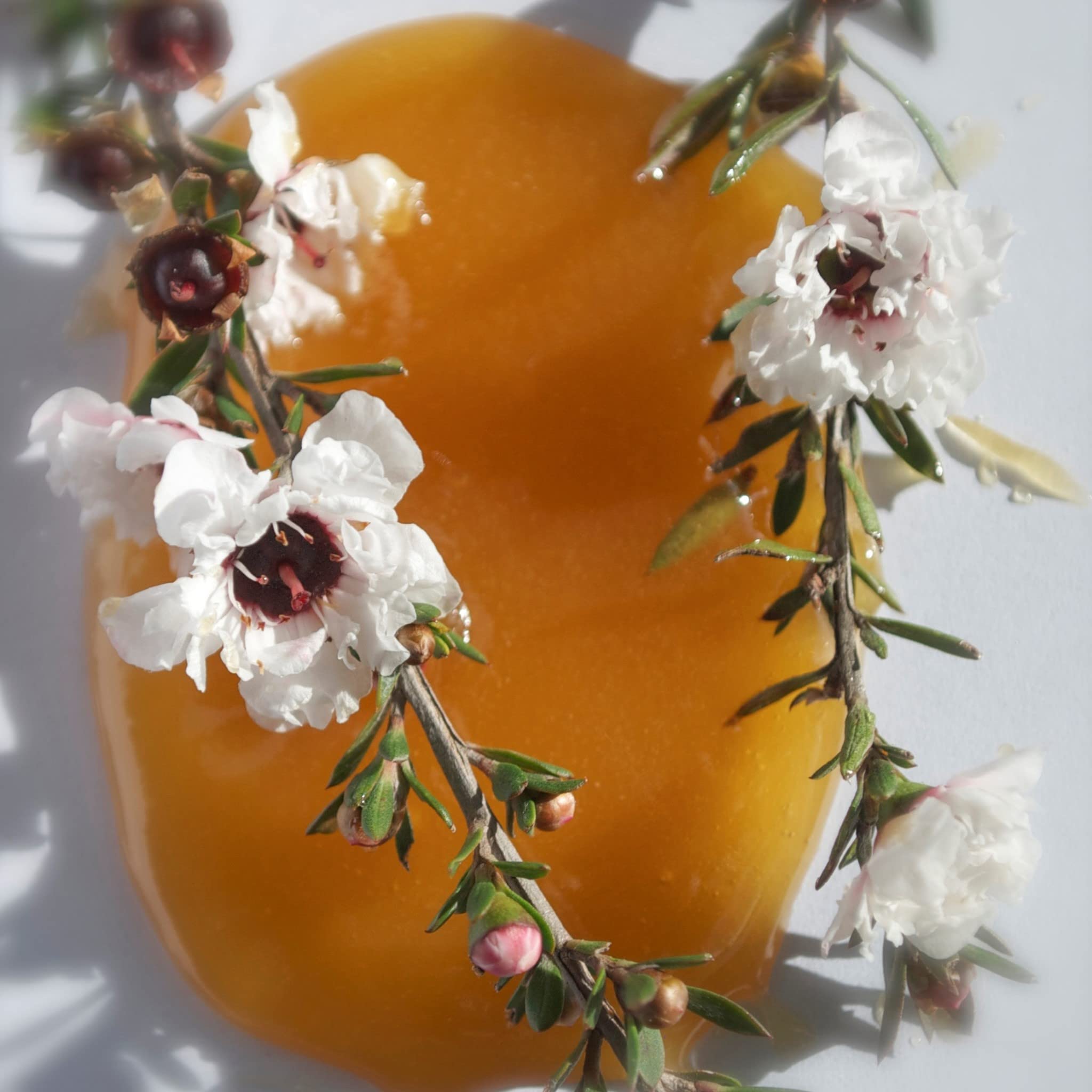 Lanocreme Lanolin Face Cream with Active Manuka Honey 100g - 3 Pack
