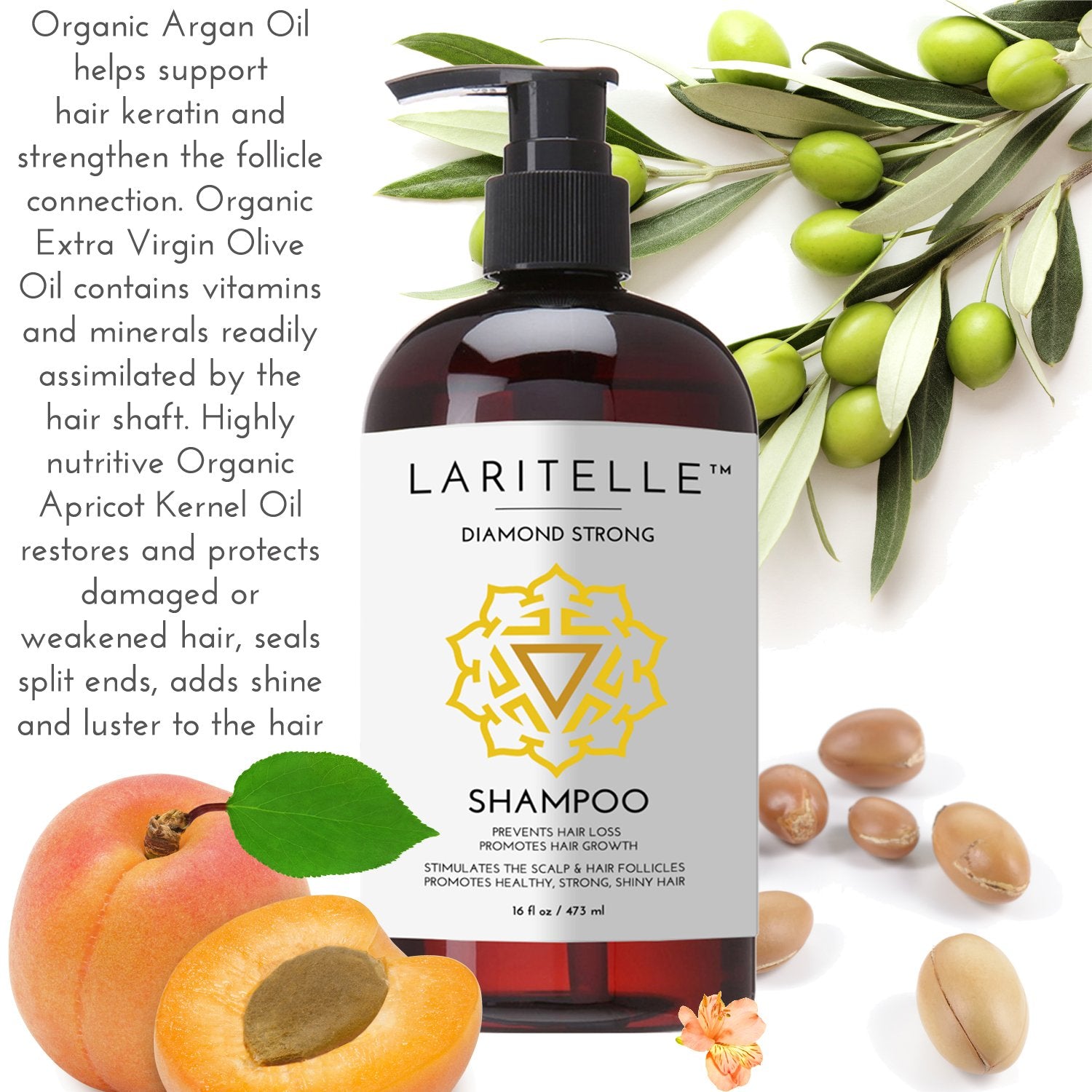 Laritelle Organic Shampoo 17 oz + Conditioner 16 oz | Prevents Hair Loss, Promotes Hair Growth | Argan Oil, Rosemary, Ginger & Cedarwood
