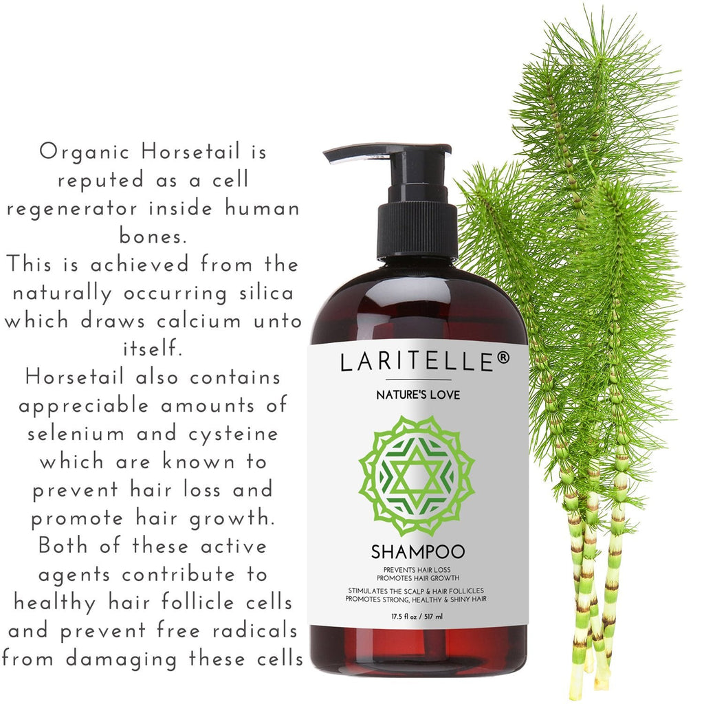 Laritelle Organic Shampoo & Conditioner – Hair Growth Support, No SLS, Gluten, Parabens