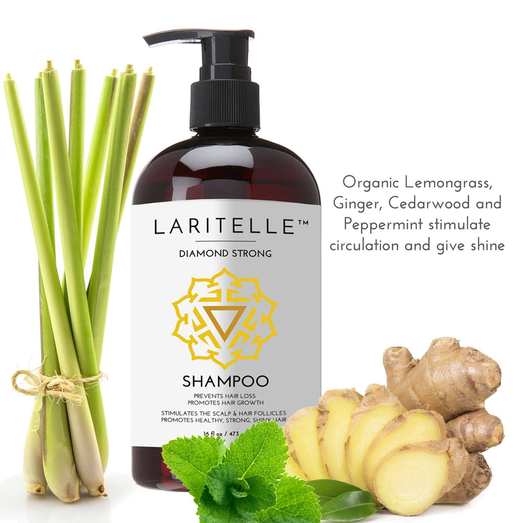 Laritelle Organic Shampoo 17 oz + Conditioner 16 oz | Prevents Hair Loss, Promotes Hair Growth | Argan Oil, Rosemary, Ginger & Cedarwood