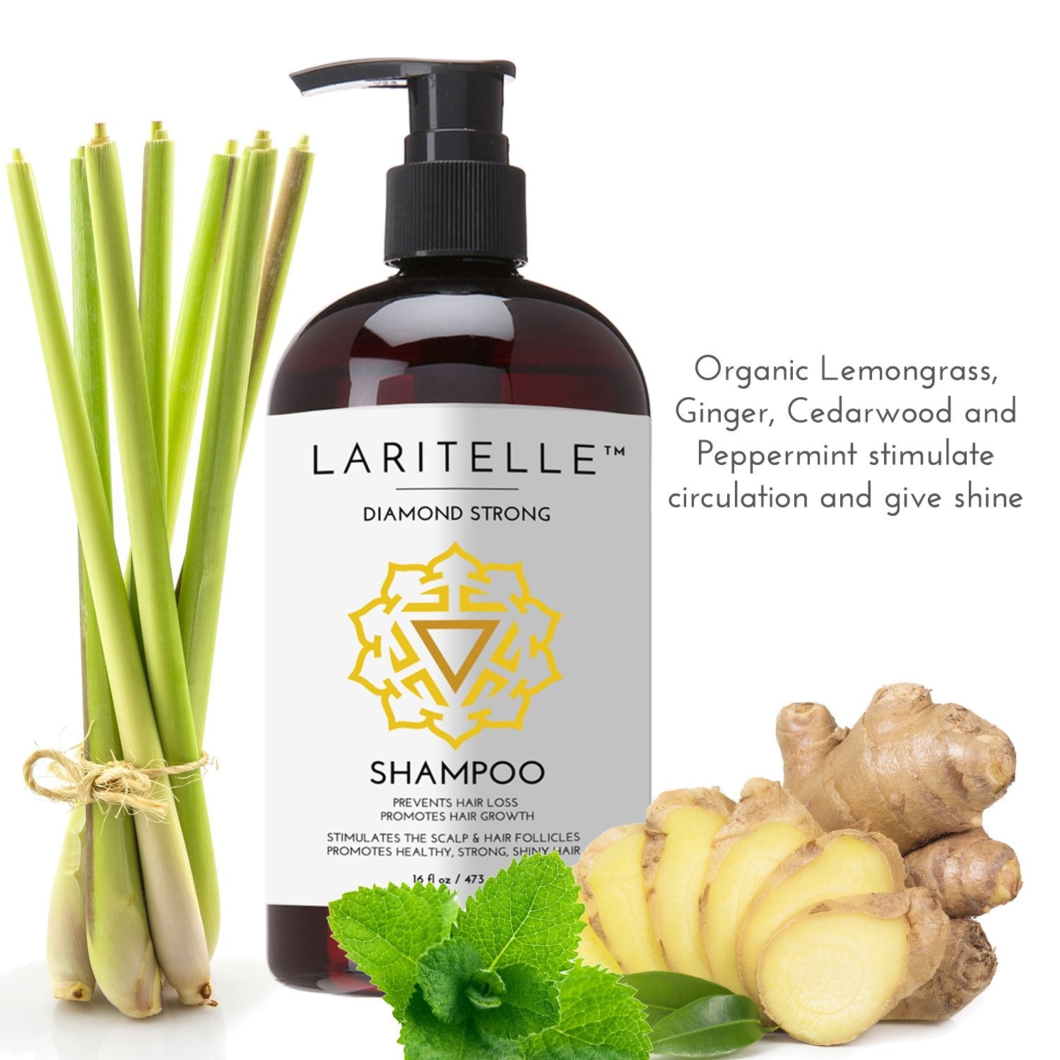 Laritelle Organic Shampoo 17 oz + Conditioner 16 oz | Prevents Hair Loss, Promotes Hair Growth | Argan Oil, Rosemary, Ginger & Cedarwood