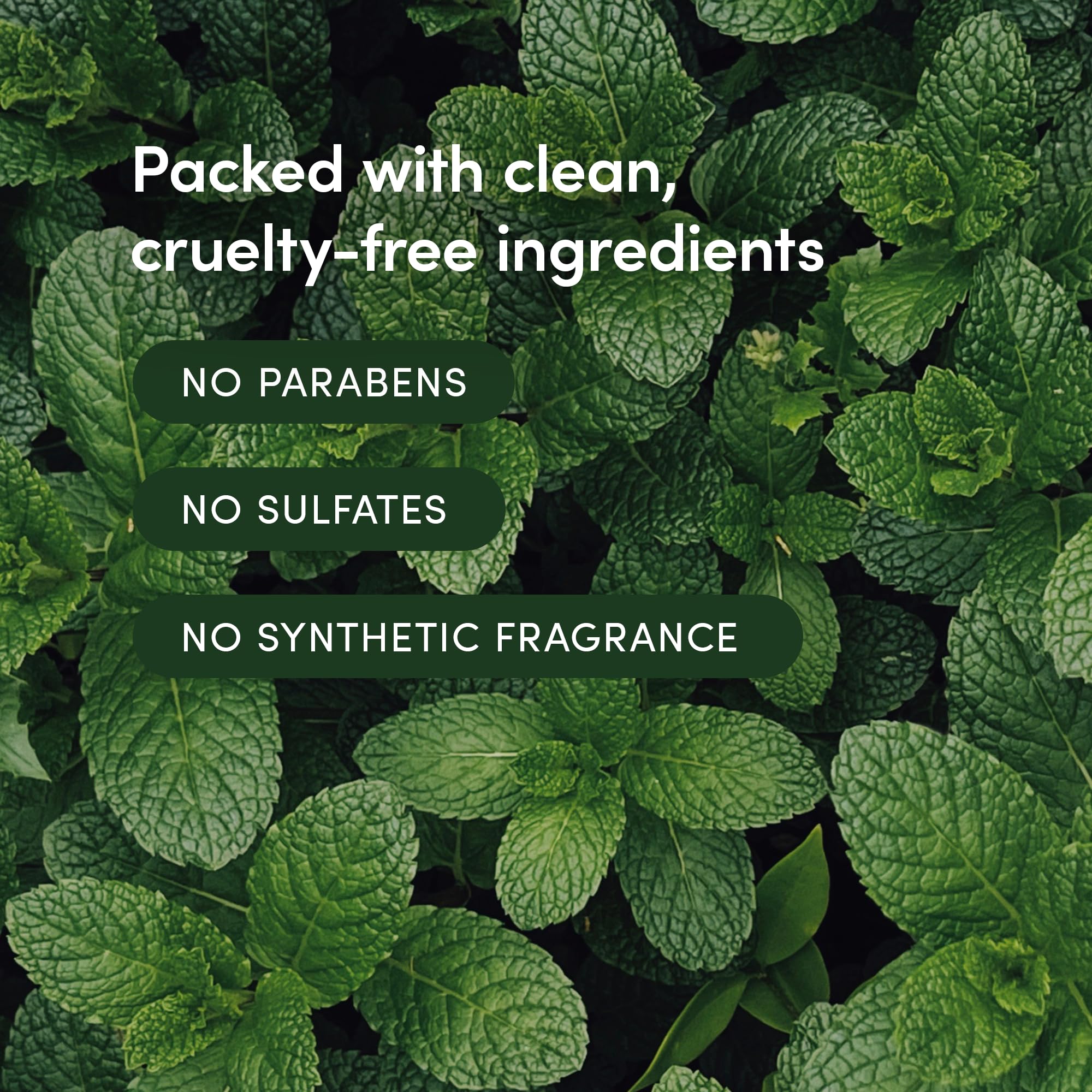 LATHER Mint Thyme Crème Rinse – Lightweight Detangler for All Hair Types (8 oz)