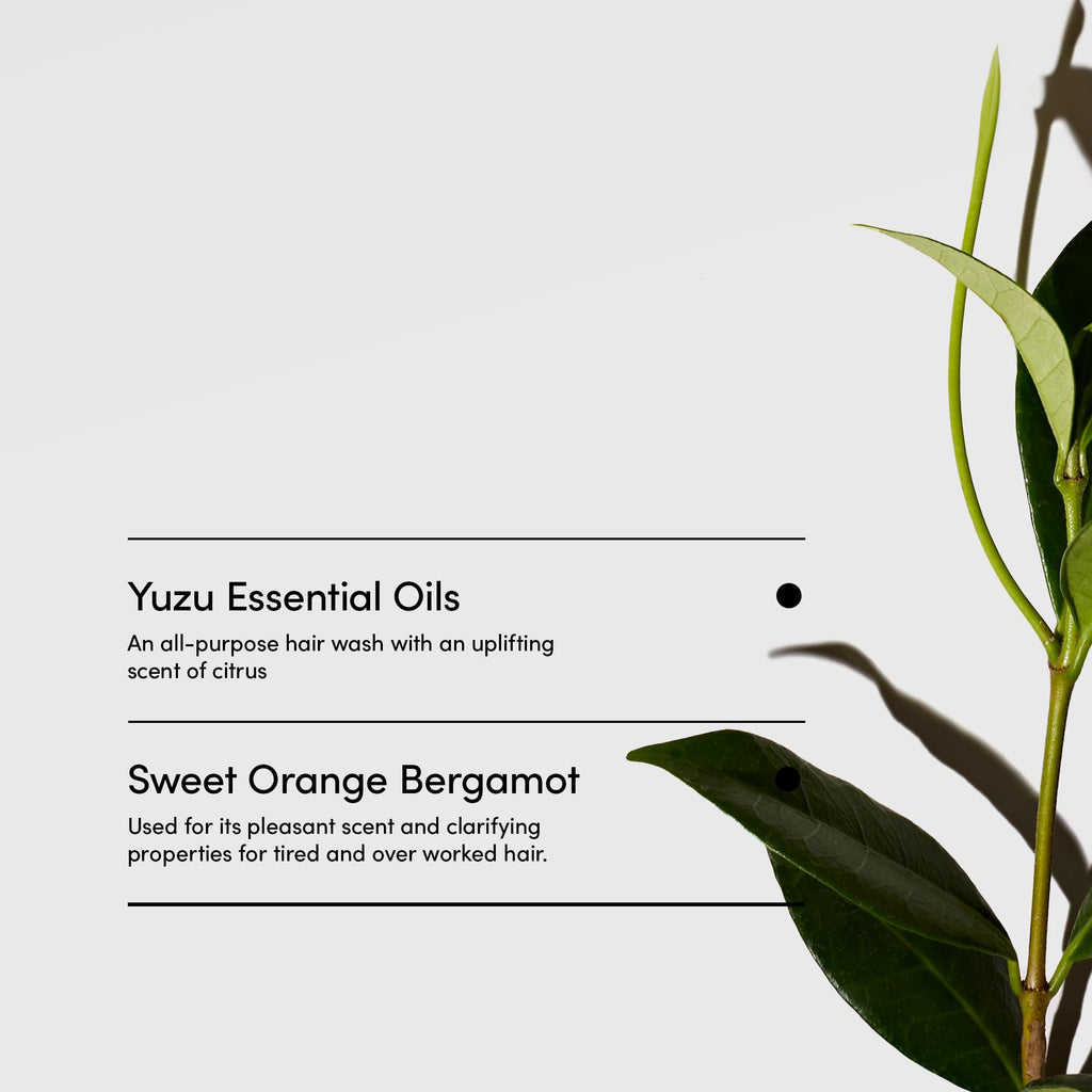 LATHER Yuzu Bergamot Hair Wash – Daily Shampoo & Cleanser | Hotel-Quality, Vegan & Cruelty-Free