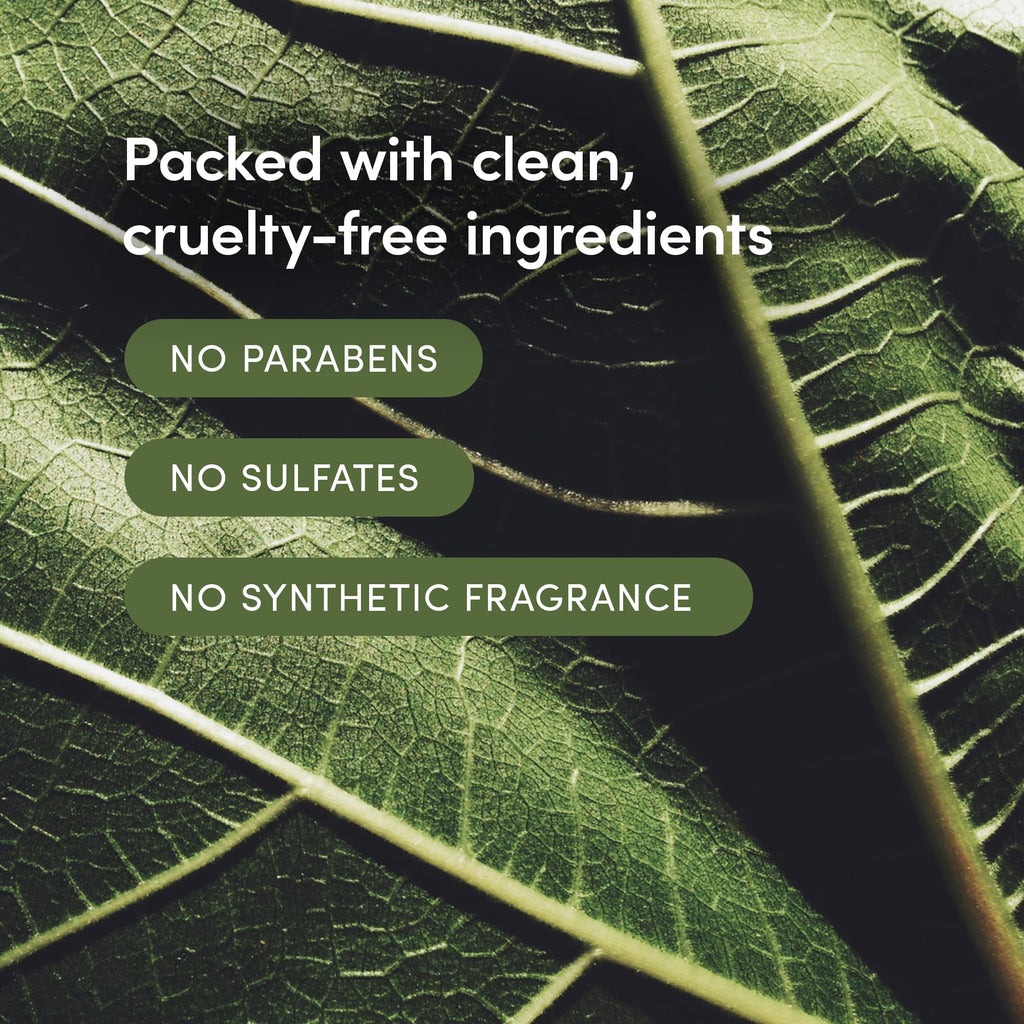 LATHER Yuzu Bergamot Hair Wash – Daily Shampoo & Cleanser | Hotel-Quality, Vegan & Cruelty-Free