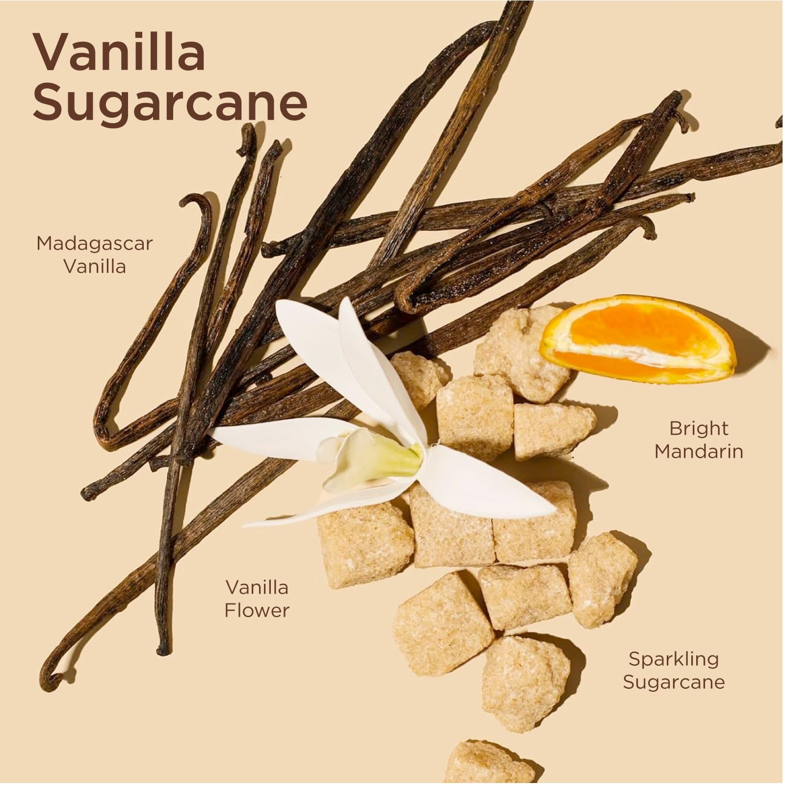 Lavanila Vanilla Sugarcane Perfume for Women – Clean, Natural EDP (Made in USA)