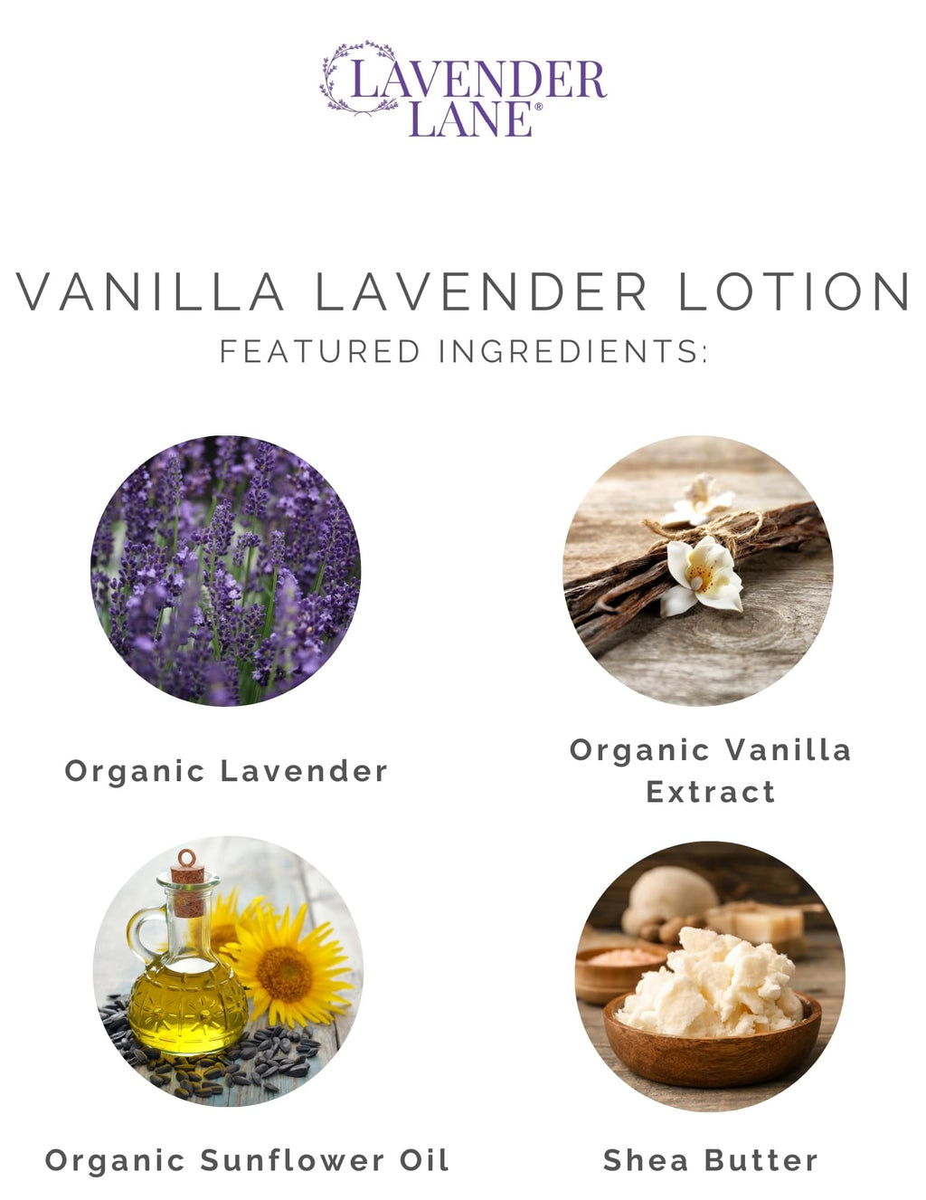 Lavender Lane Vanilla Lavender Hand & Body Lotion – Goat's Milk, Lavender Essential Oil, USA Made