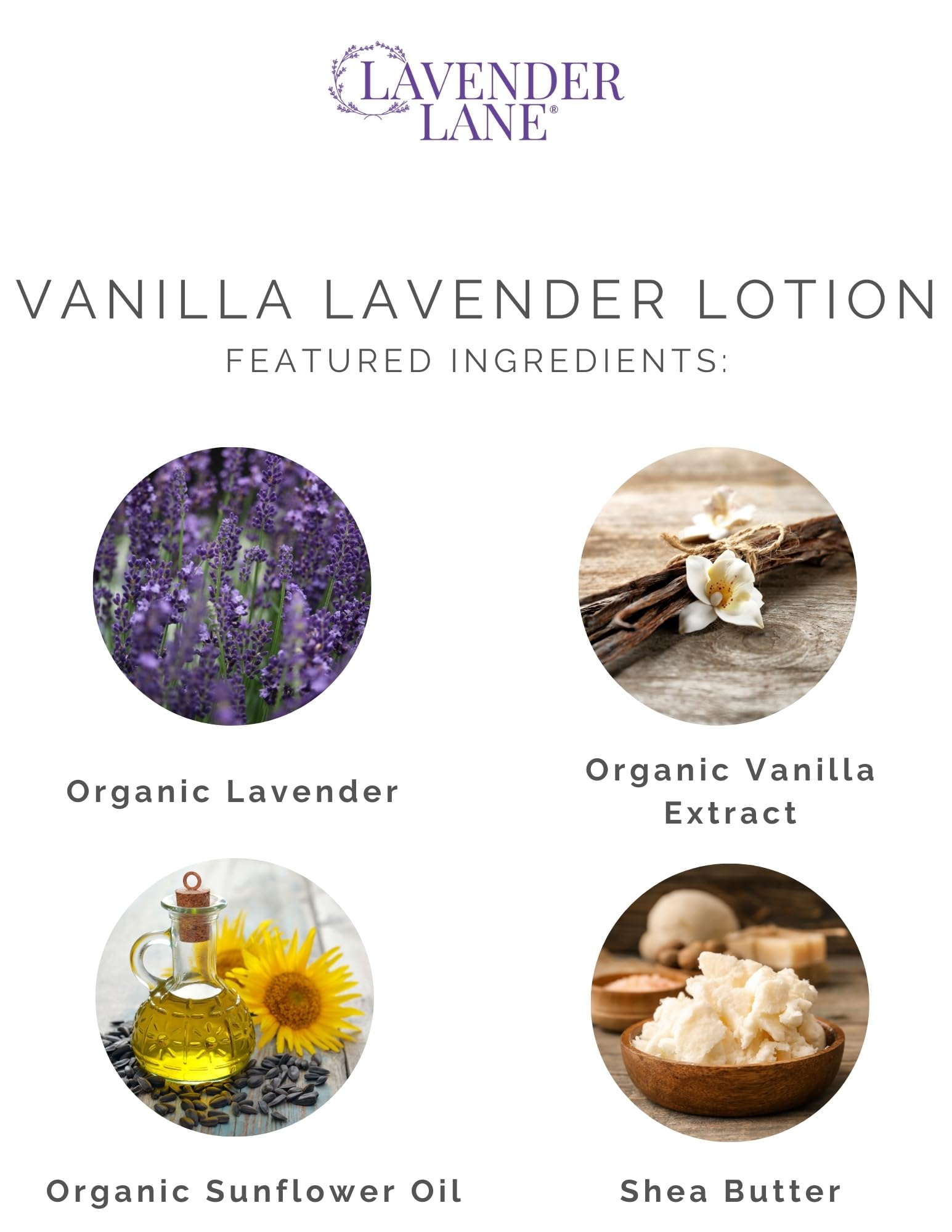 Lavender Lane Vanilla Lavender Hand & Body Lotion – Goat's Milk, Lavender Essential Oil, USA Made