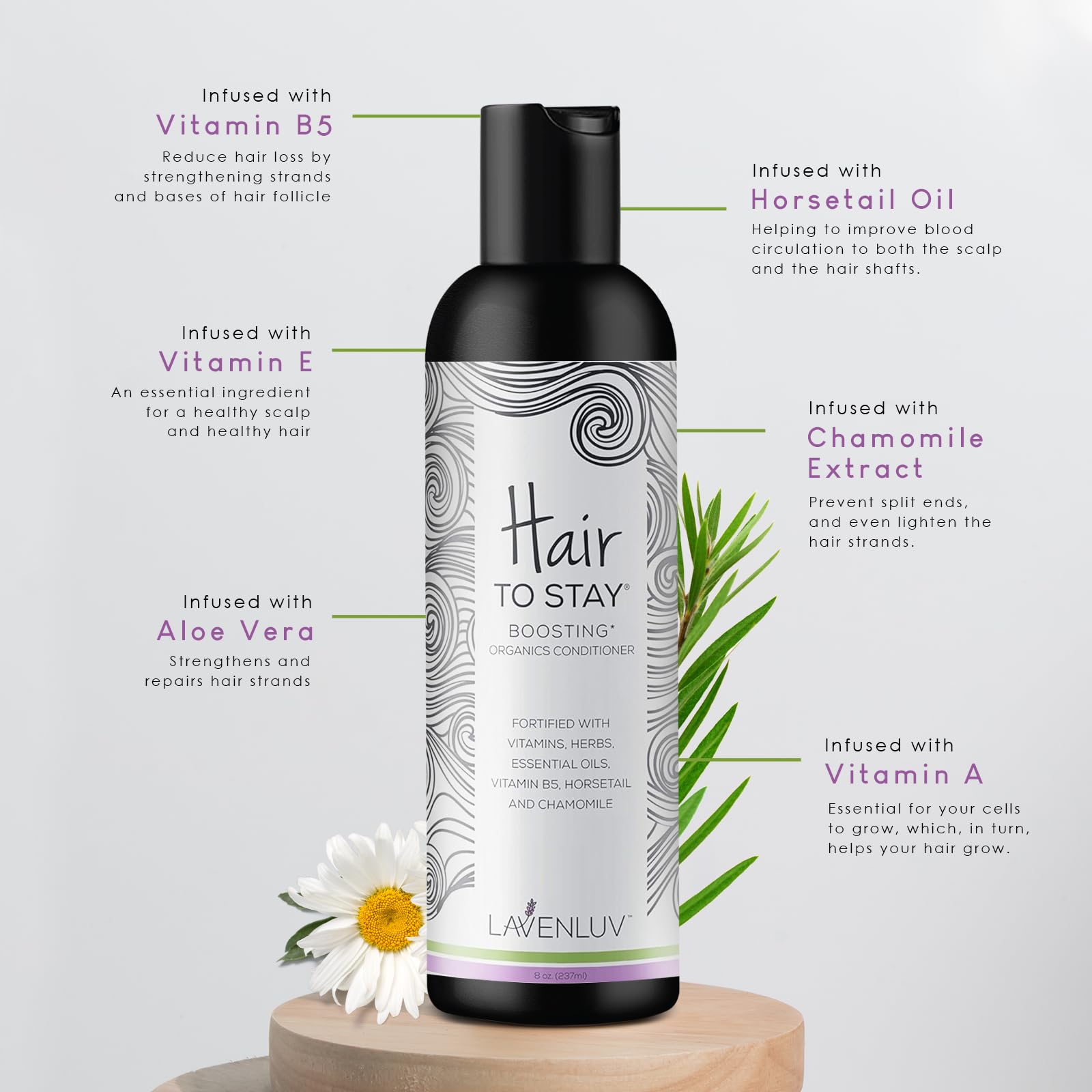 Lavenluv Stay Hair Growth Conditioner | Anti-Loss Deep Moisture | Hair to Stay