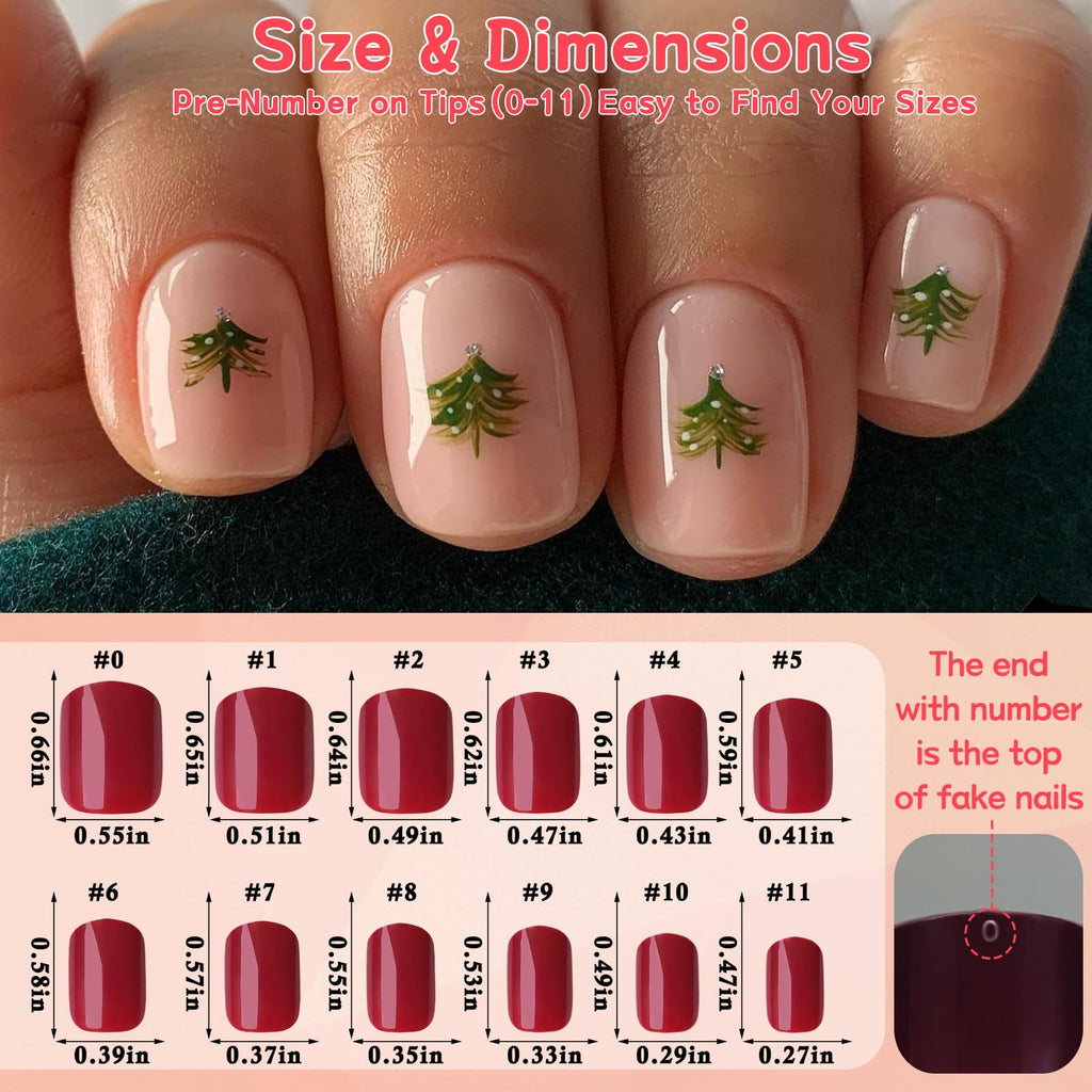 Lifextol 576pc Square Press-On Nails – Short Glossy Fake Nails, 12 Sizes, 24 Styles with Adhesive Tabs