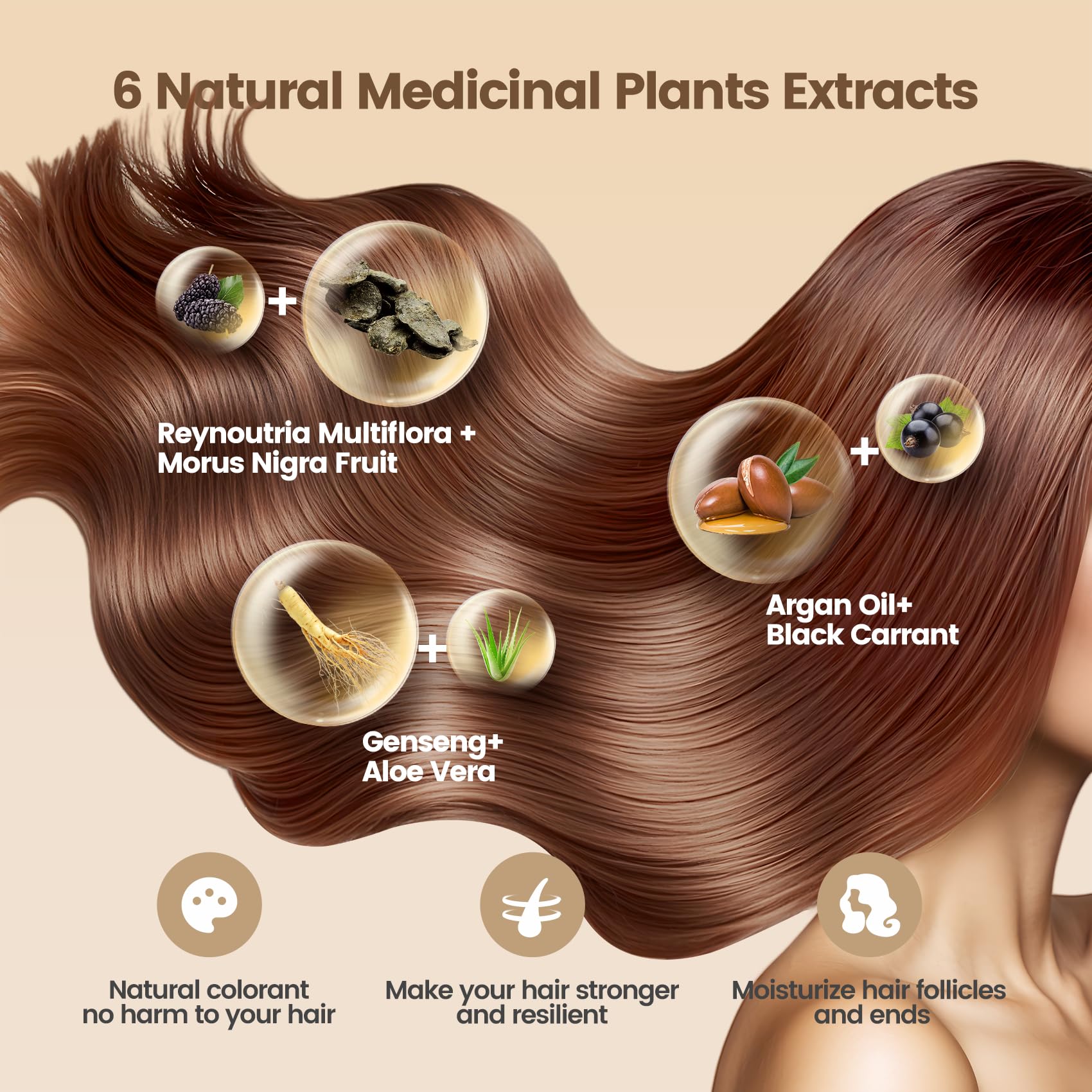 Limer Hair Dye Shampoo Chestnut Brown – 6-in-1 Ammonia-Free, 460ml