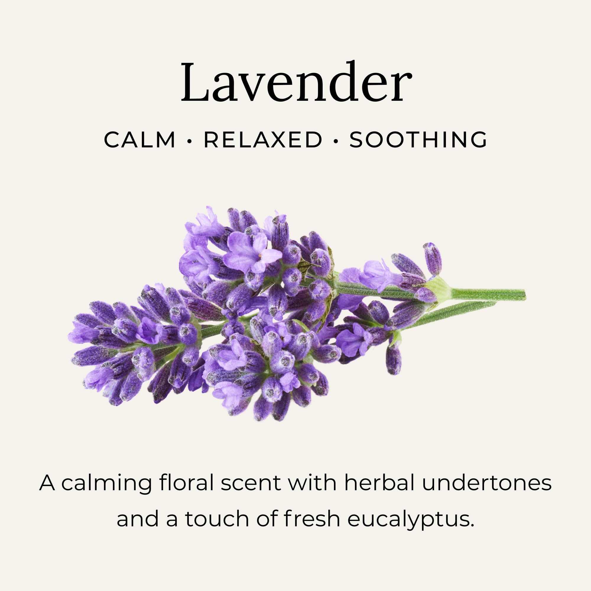 Little Seed Farm All Natural Lavender Deodorant Cream – Aluminum-Free, Baking Soda-Free, 68g (2.4oz)