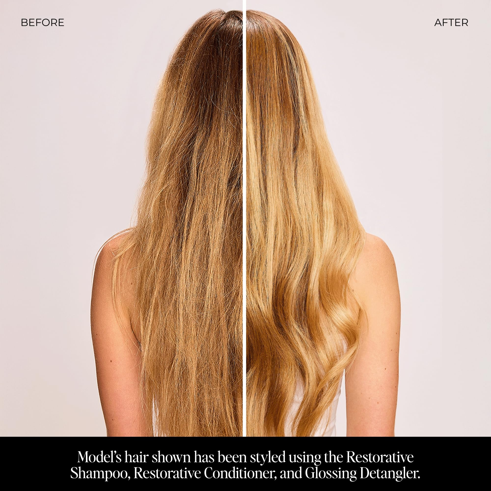 LolaVie Restorative Conditioner – Hydrates, Strengthens & Frizz Control | 8.5 oz | Color Safe
