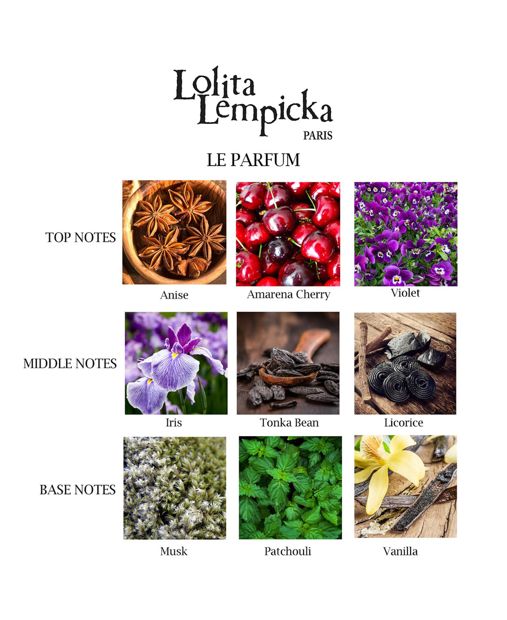 Lolita Lempicka Le Parfum Midnight Purple Limited Edition – Eau de Parfum for Women 3.4 oz