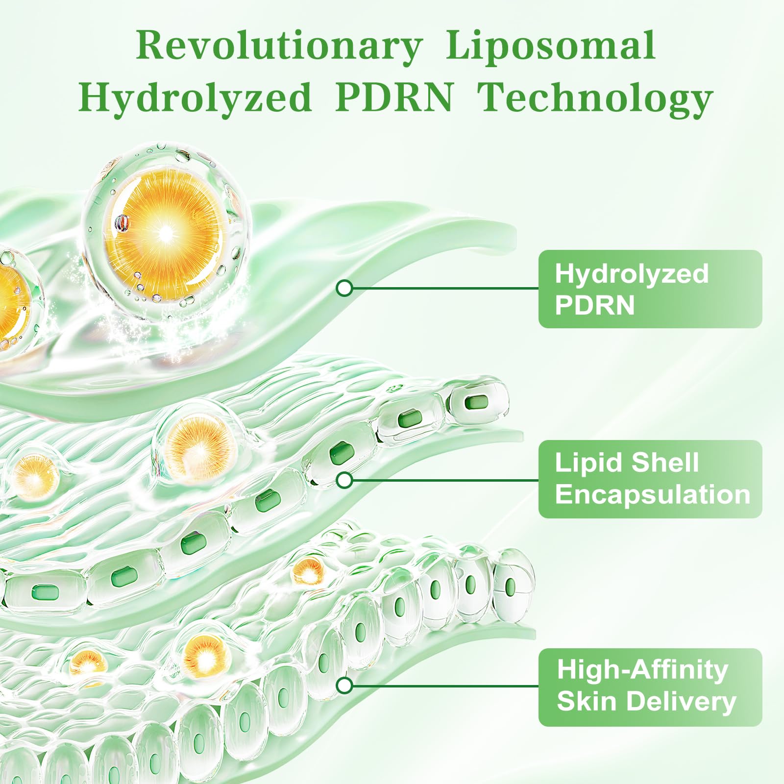 LOLX Liposomal PDRN Serum – 10,000ppm PDRN, 10,000ppm HA, Deep Hydration & Firming