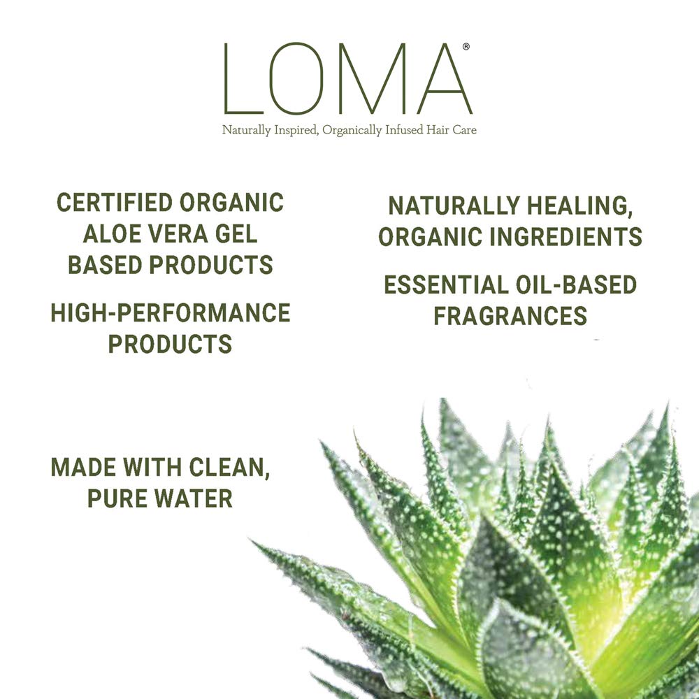 LOMA Violet Shampoo 12 oz — Sulfate, Paraben & Gluten Free, Brightens Blonde