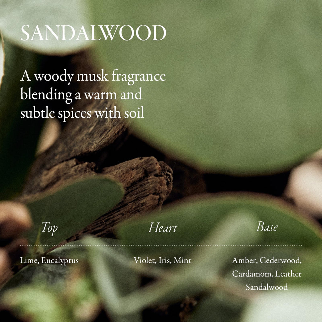 LONGTAKE Sandalwood Intensive Hair Oil 40ml – Heat Protection, Anti-Frizz, Split End Repair | All Hair Types