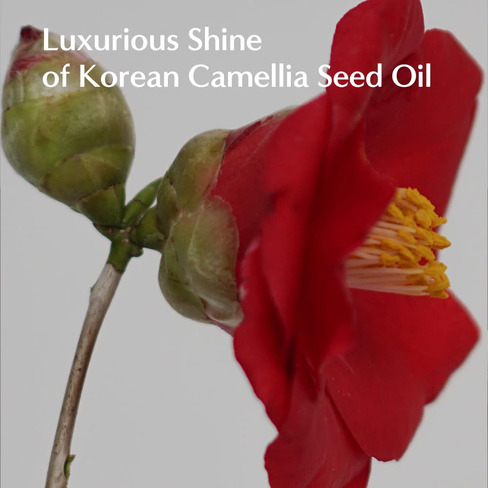 LORINIQUE Korean Keratin Leave-In Conditioner – Deep Nourishment & Heat Protection