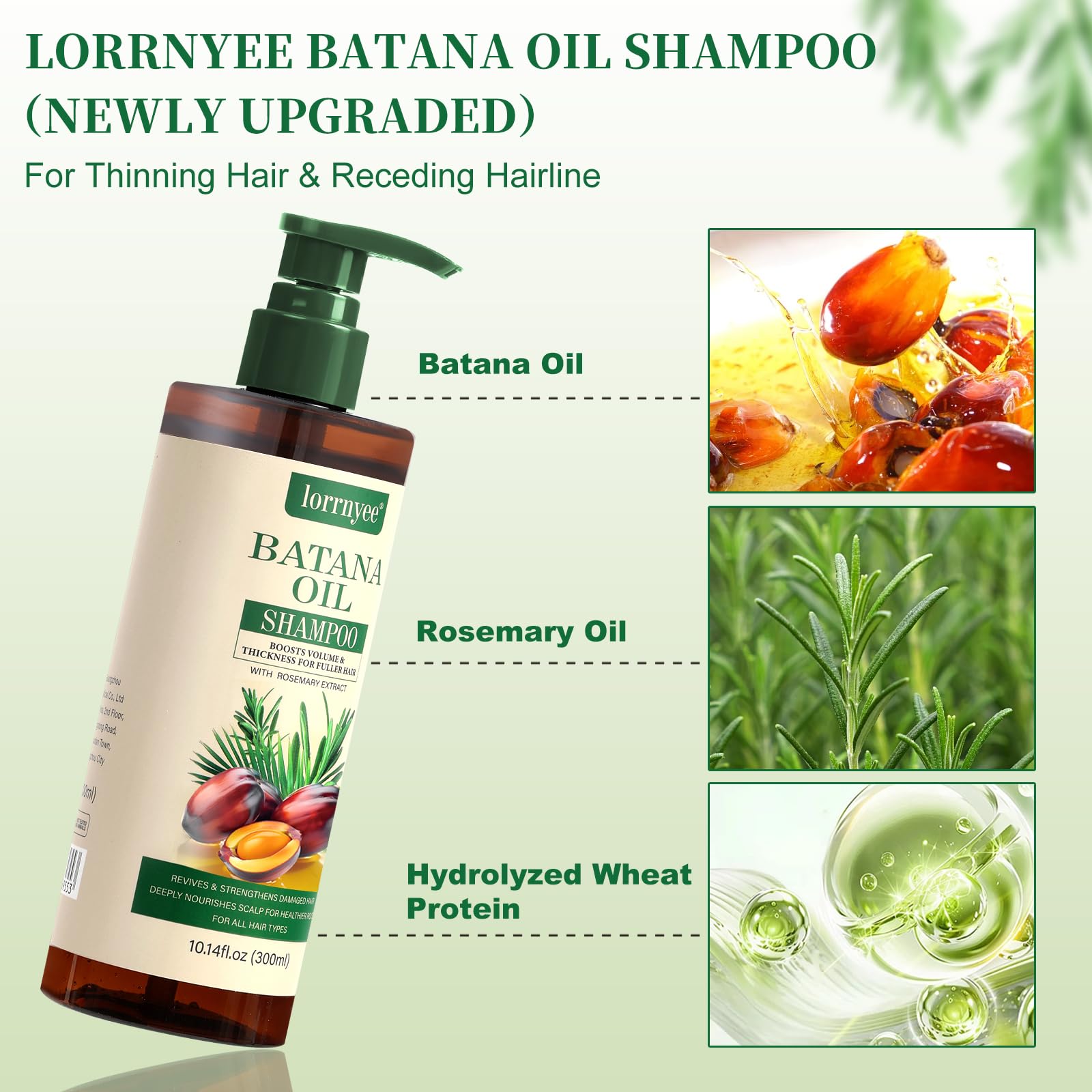 Batana Oil Shampoo for Hair Growth – Lorrnyee with Rosemary, Biotin & Keratin