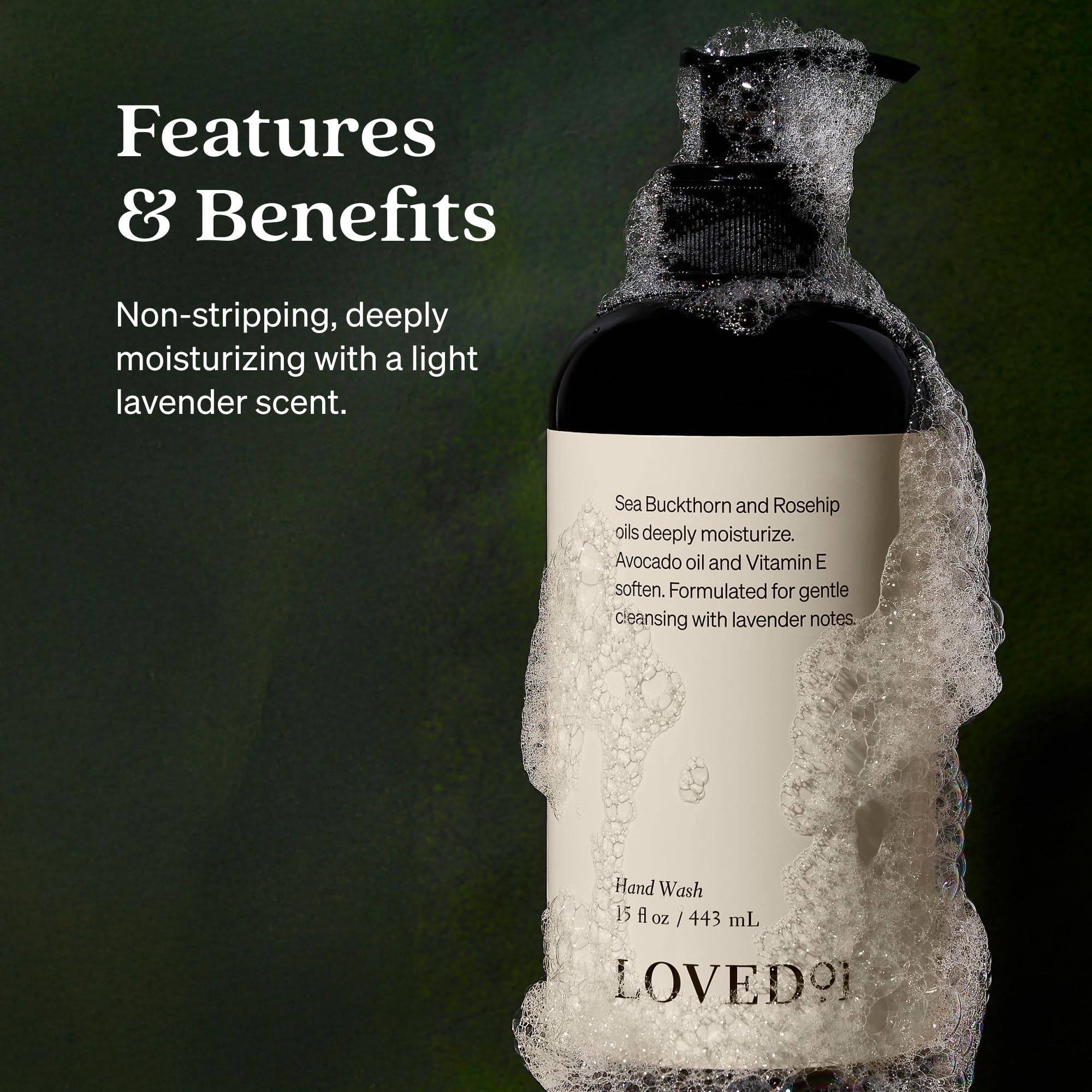 Loved01 Hand Soap & Lotion Set – Oprah's Favorite Things (15 oz Hand Wash + 15 oz Body Lotion)