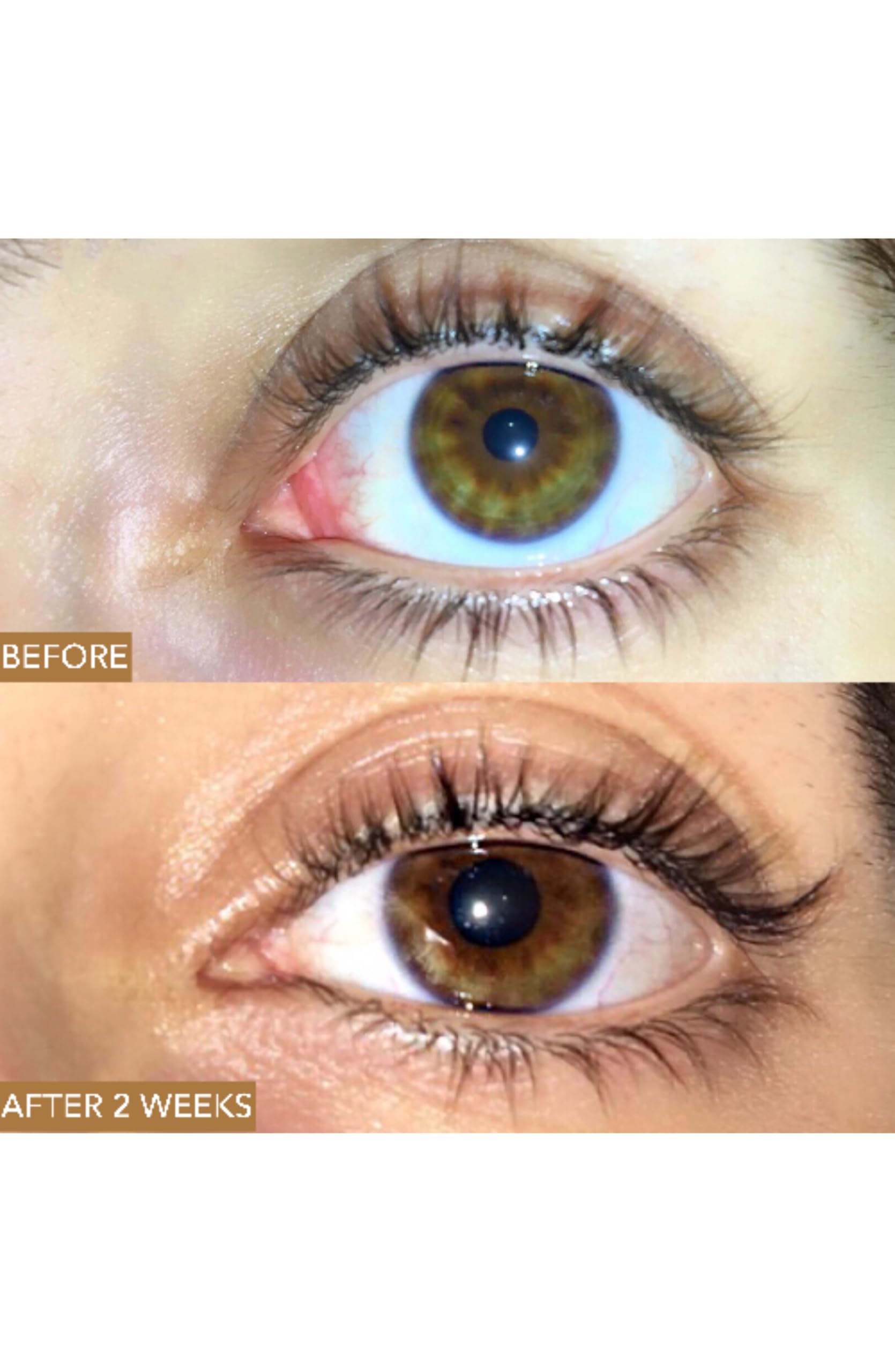 Moon Boost by Luna Nectar – Vegan Lash & Brow Serum (Fragrance-Free, Fast Results)