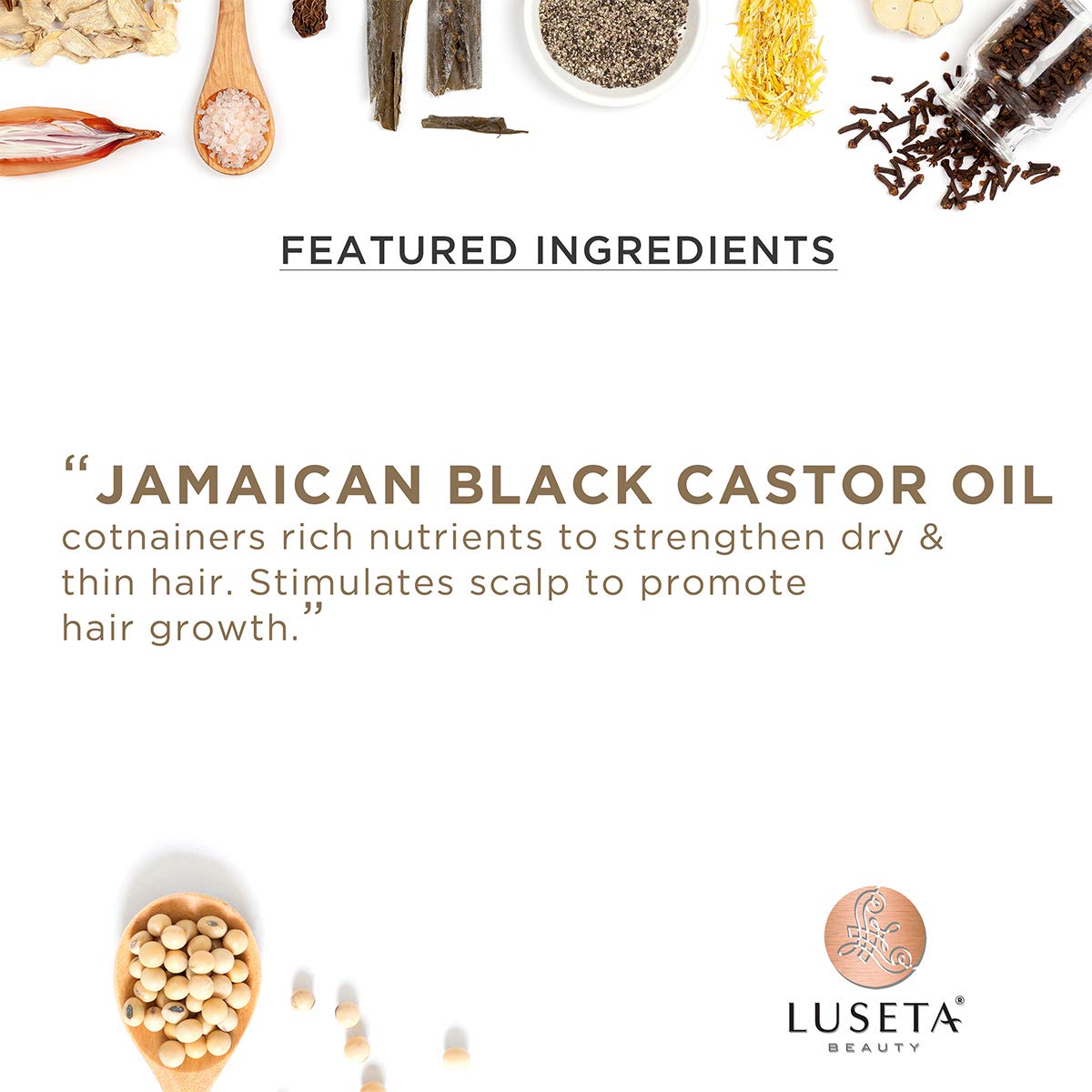 Luseta Castor Oil Shampoo & Conditioner Set – Strengthen & Cleanse Thin Hair | Sulfate-Free 16.9oz x 2