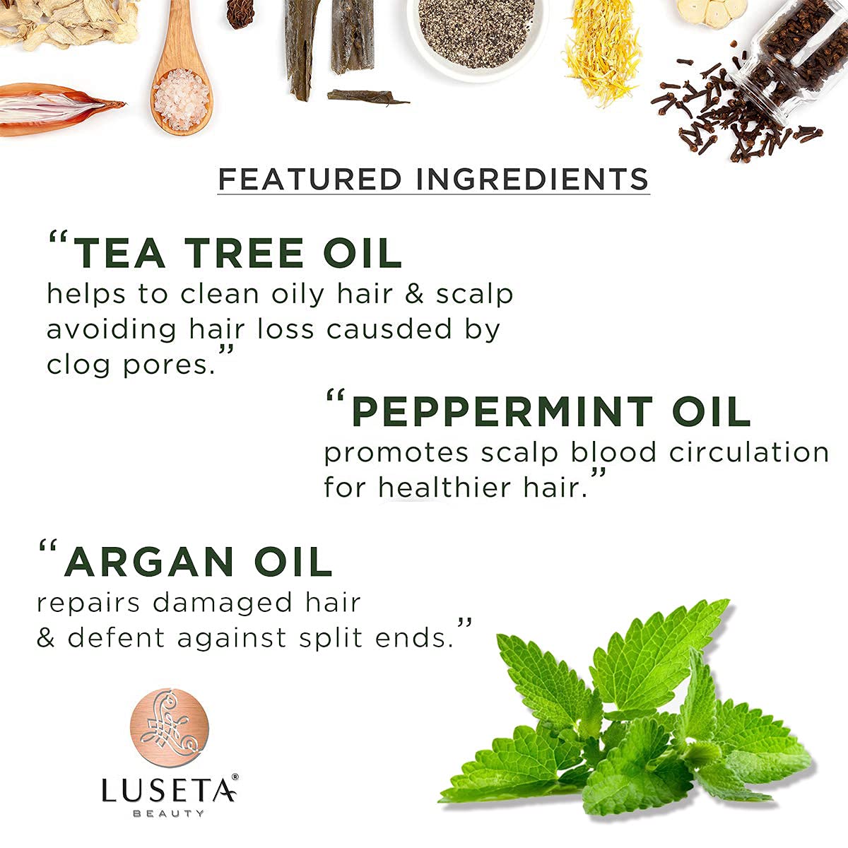 Luseta Tea Tree & Mint Conditioner 33.8 oz – Refreshing, Nourishing Scalp Care (Paraben & Sulfate Free)