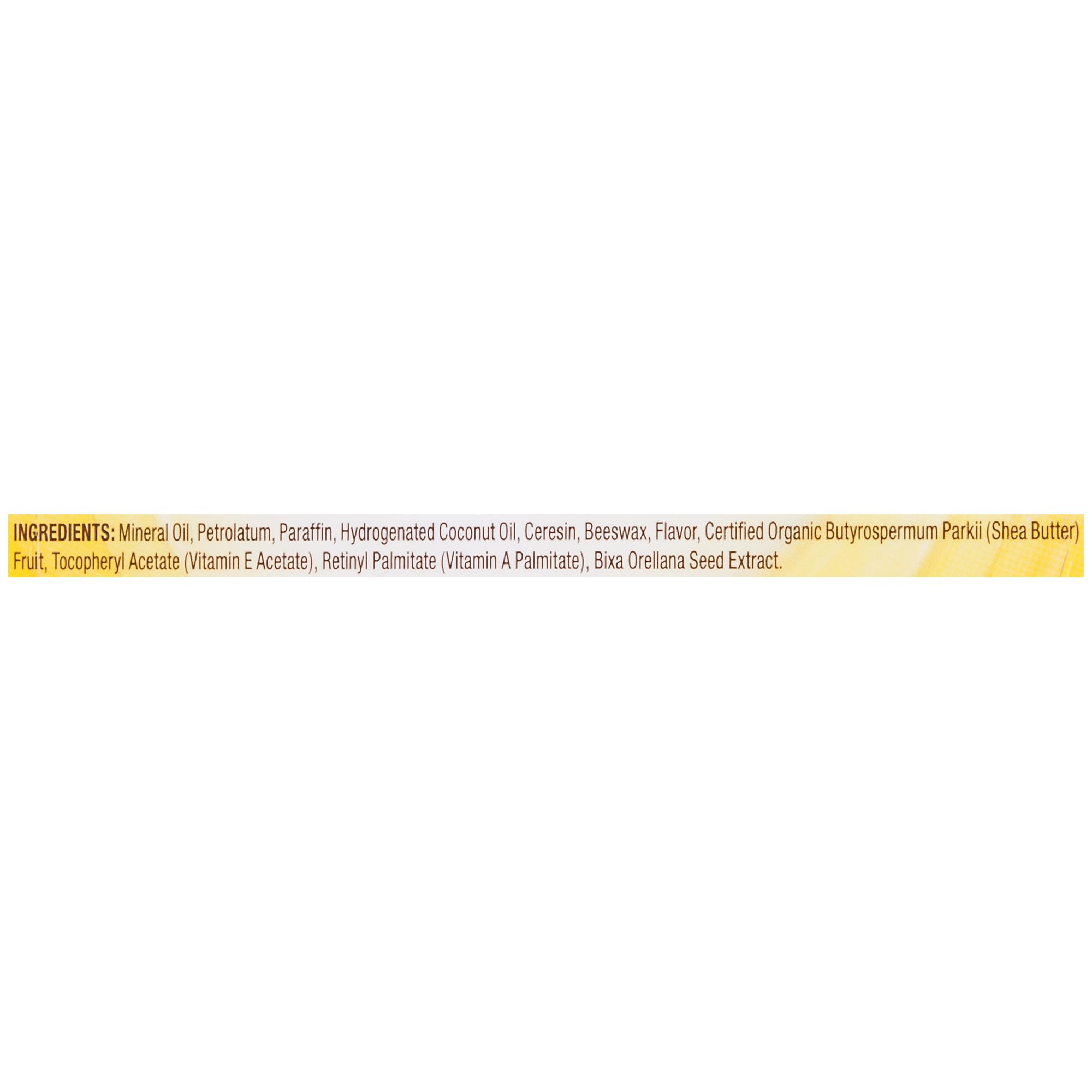 Lypsyl Intense Protection Original Mint Lip Balm – 0.10 oz (Pack of 10)