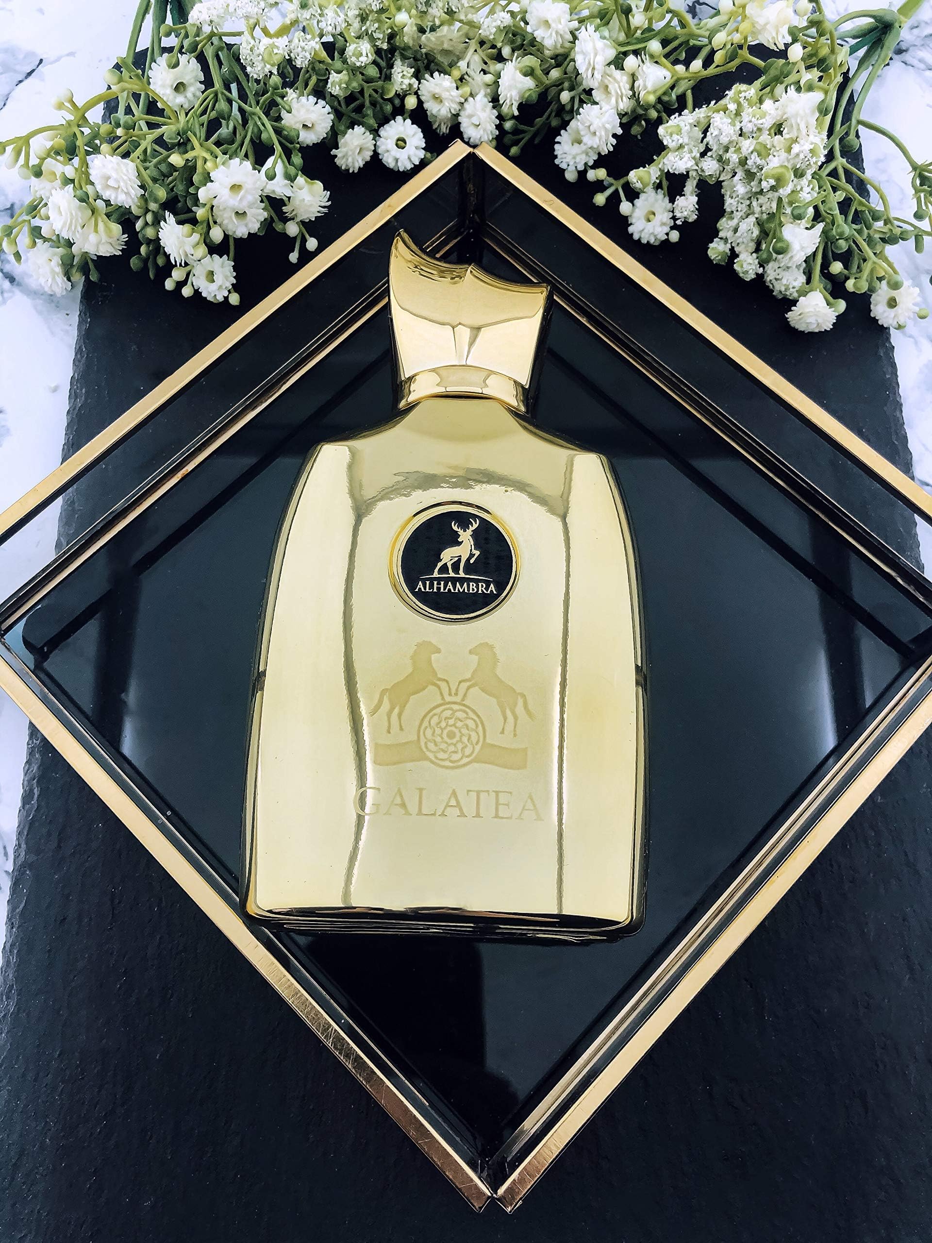 Galatea by Maison Alhambra for Men - 3.4 oz EDP Spray