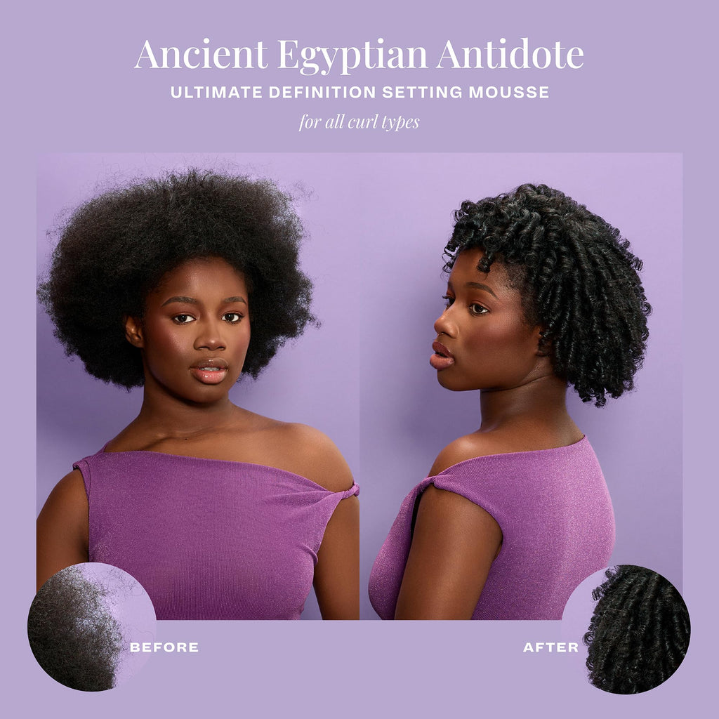 The Mane Choice Ancient Egyptian Antidote Ultimate Definition Setting Mousse – Curl Definition, Volume & Heat Protection
