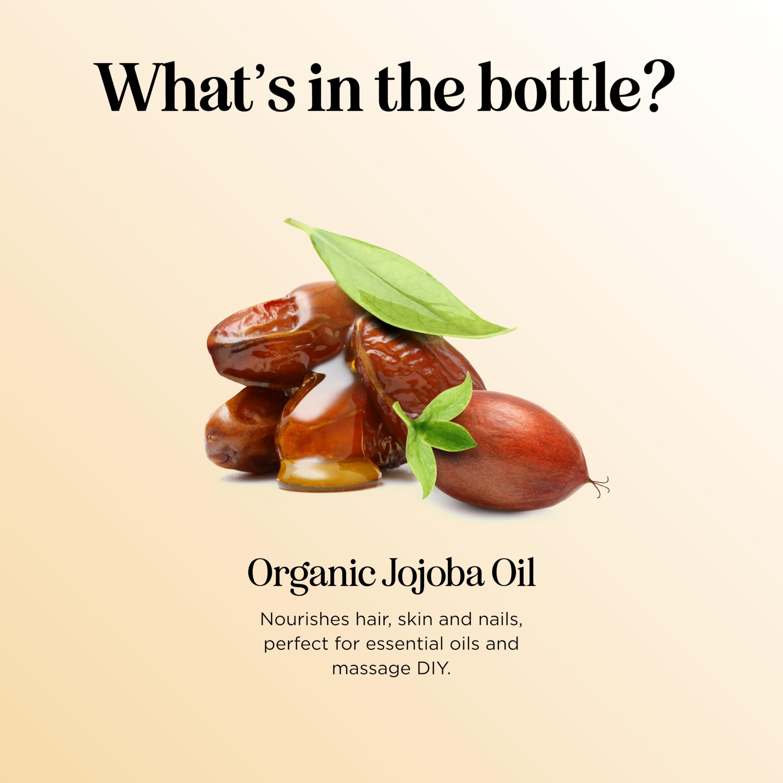 Maple Holistics Organic Jojoba Oil – Cold Pressed, 100% Pure, Skin, Hair & Nails Carrier Oil