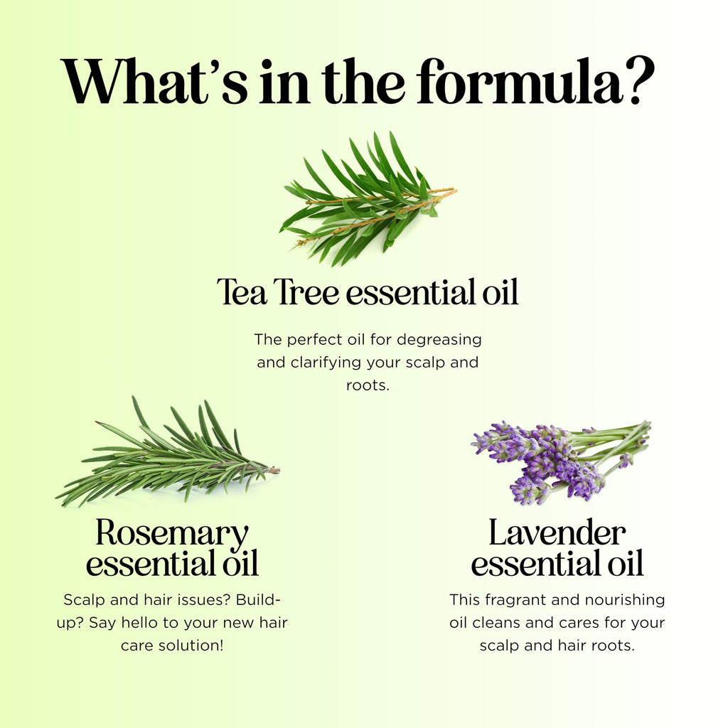 Maple Holistics Clarifying Shampoo for Build Up & Oily Hair – Tea Tree & Rosemary