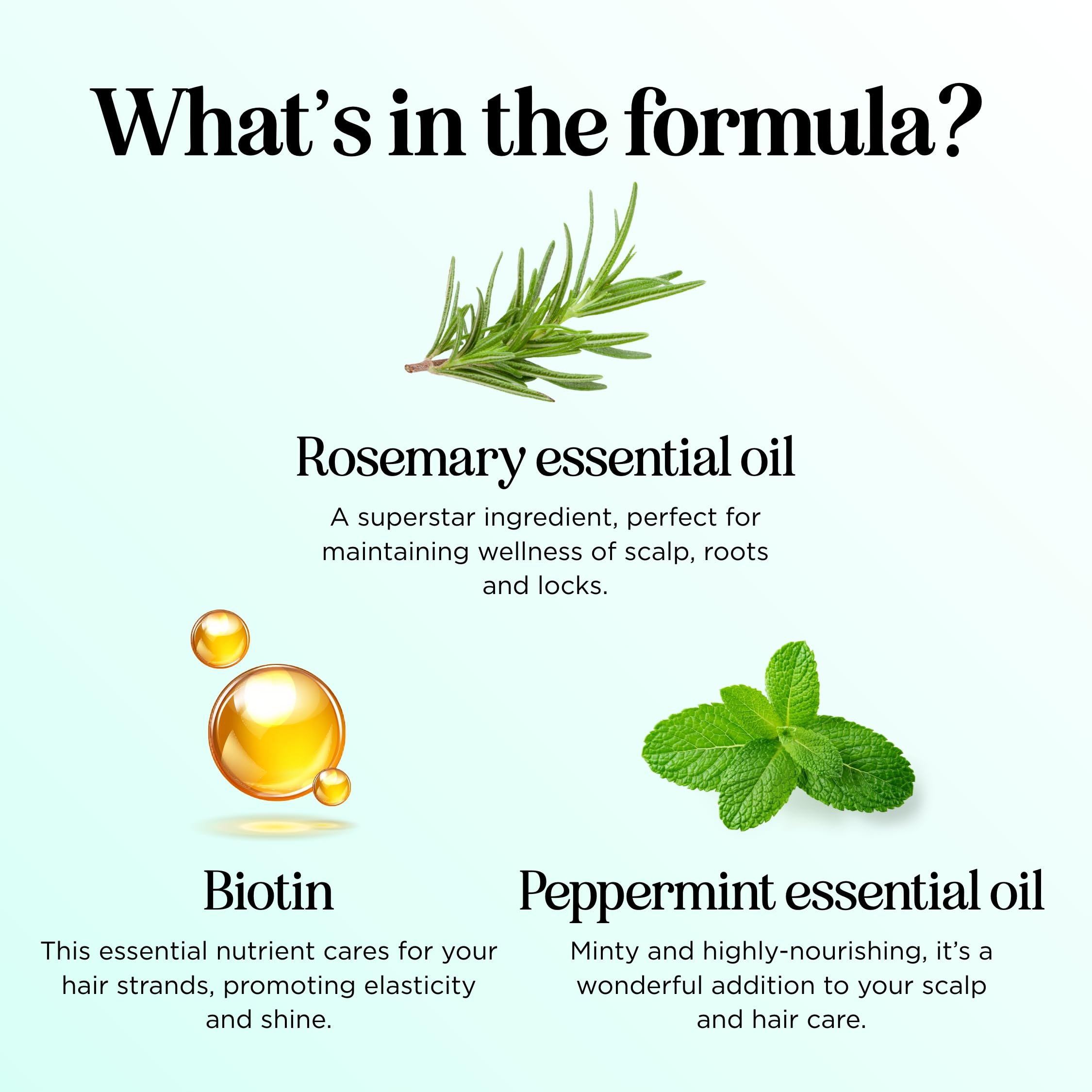 Maple Holistics Rosemary Water Spray for Hair & Scalp | Biotin Rice Water, Peppermint, Ginseng | Vegan & Cruelty-Free (8 fl oz)