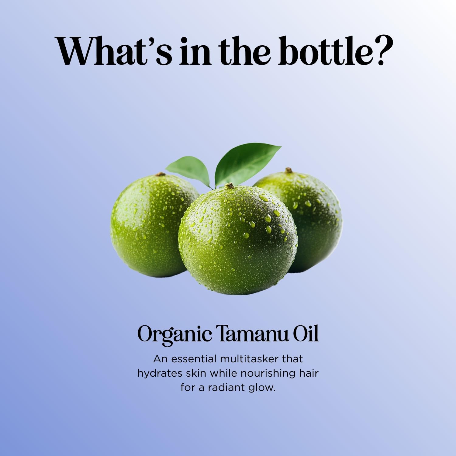 Maple Holistics 100% Pure Organic Tamanu Oil – Cold-Pressed, Virgin & Unrefined | Non-GMO, Vegan & Cruelty-Free (4 oz)