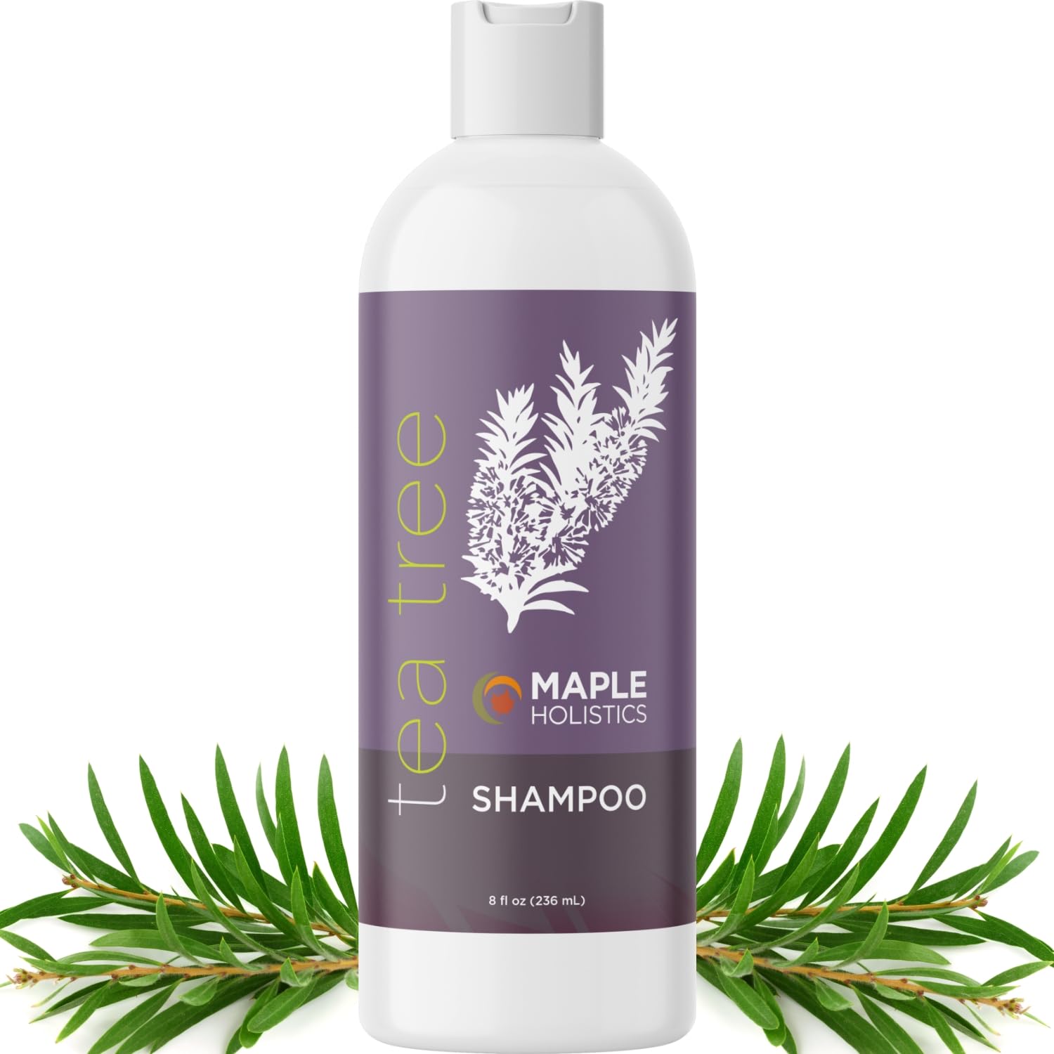 Maple Holistics Tea Tree Shampoo for Oily Hair - Clarifying, Sulfate & Paraben Free