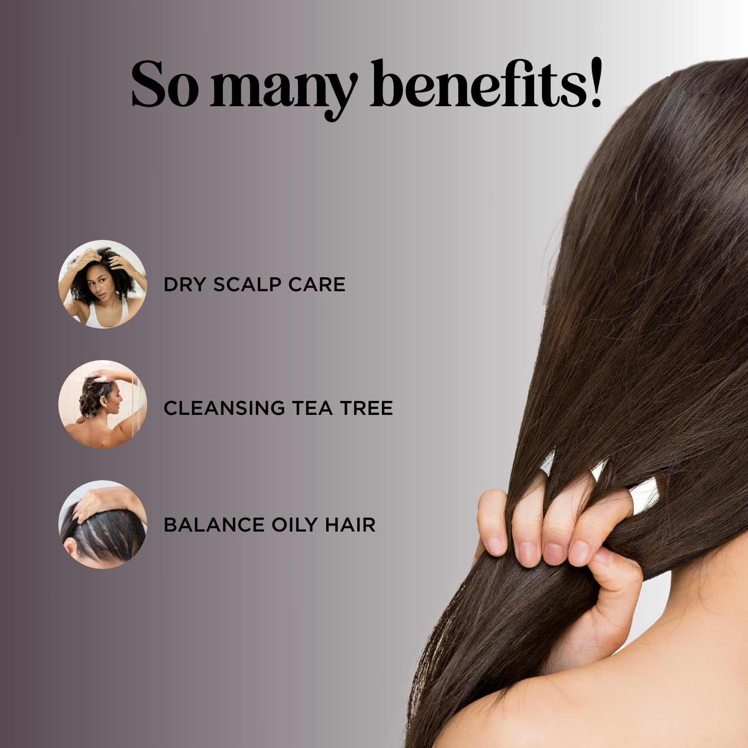 Maple Holistics Tea Tree Shampoo for Oily Hair - Clarifying, Sulfate & Paraben Free