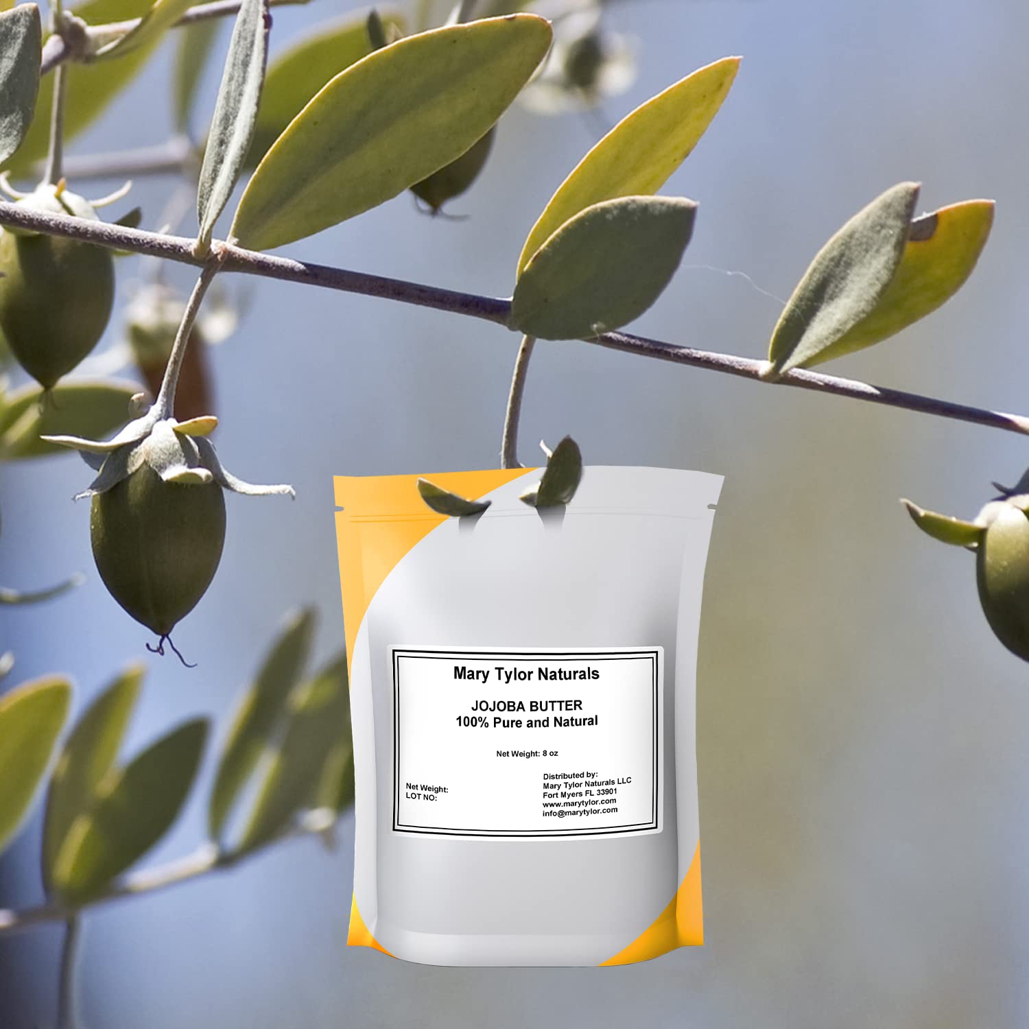Mary Tylor Naturals Jojoba Butter (8 oz) – 100% Pure, Unrefined, Premium Grade